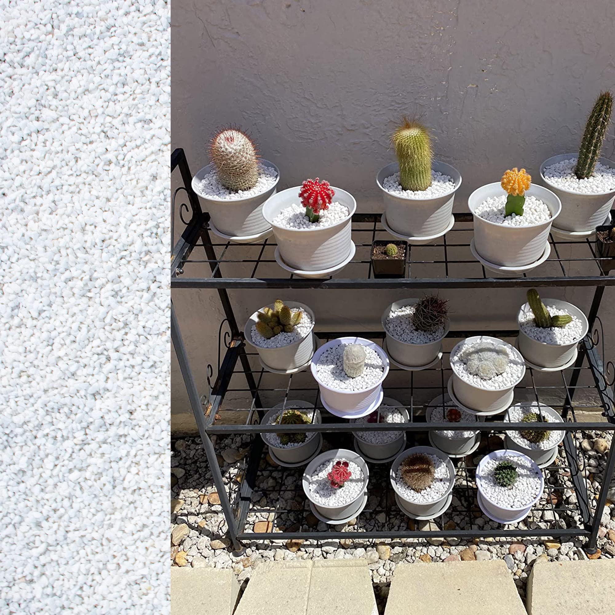 Avalution 6mm-8mm White Gravel Succulents and Cactus Bonsai DIY Projects Rocks White Onyx Plant Rocks Garden Outdoor Indoor Grav
