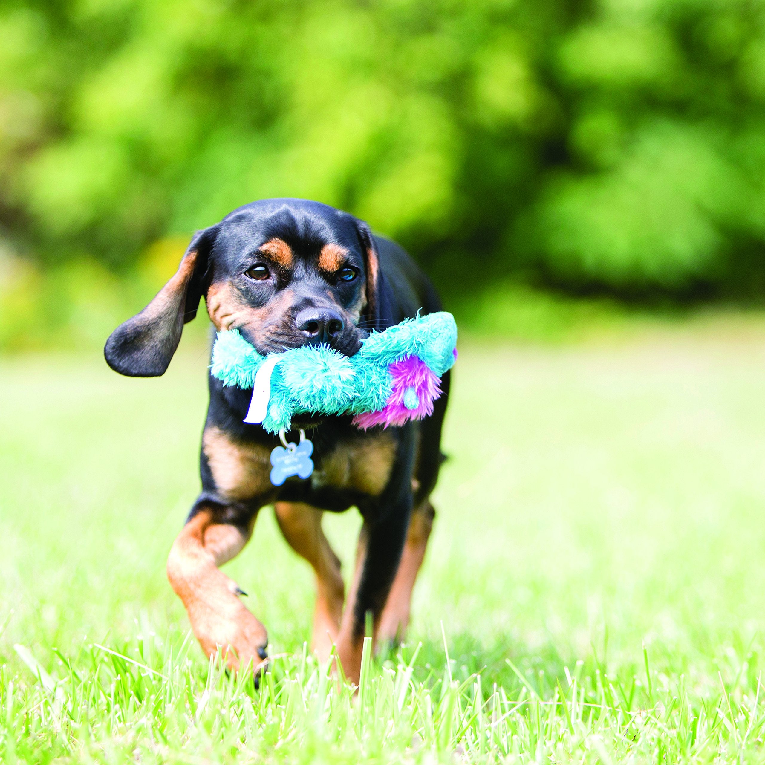 Kong Spunky Monkey Cozie Dog Toy, Small