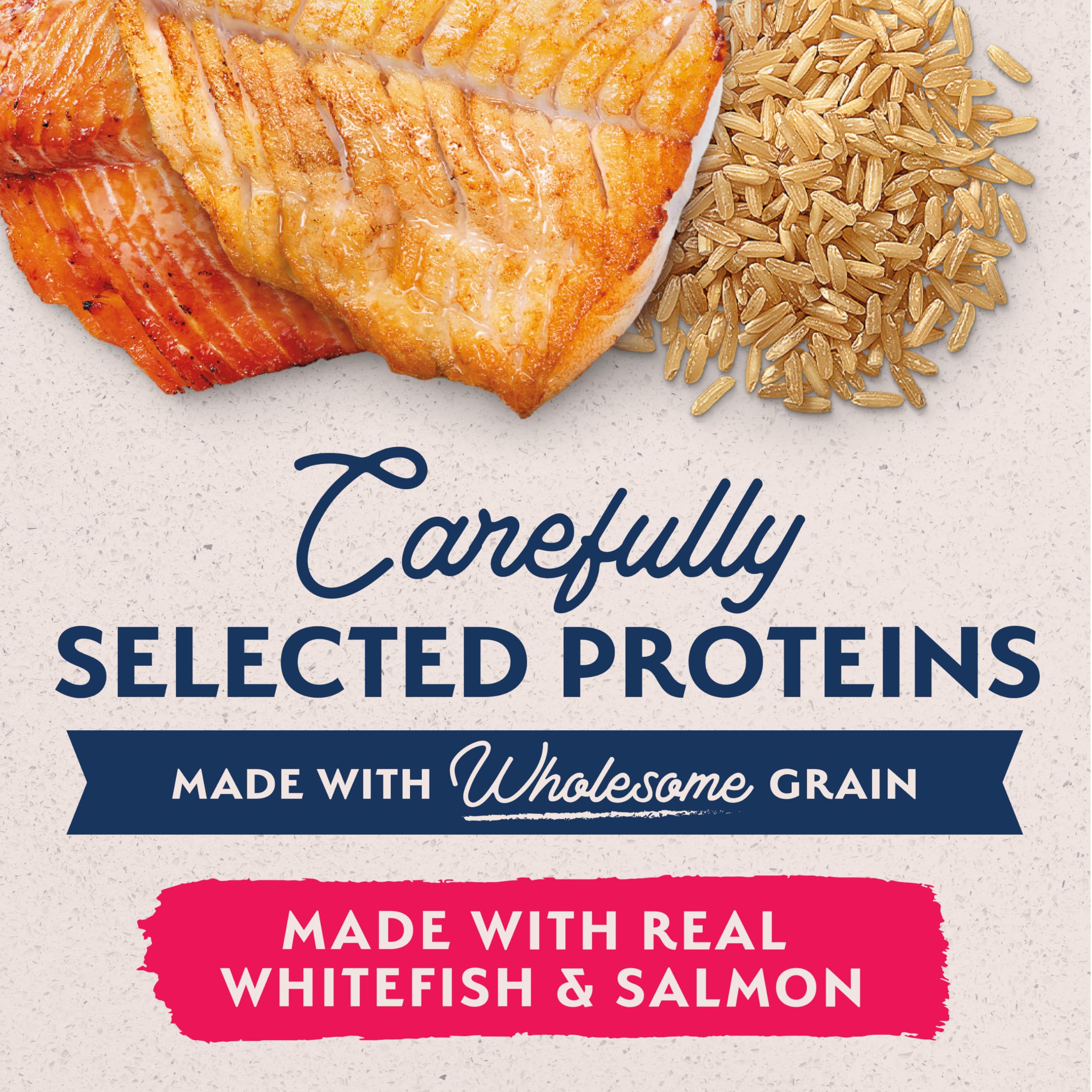 Natural Balance Limited Ingredient Adult Wet Canned Dog Food with Healthy Grains, Whitefish, Brown Rice & Salmon Recipe, 13 Ounc
