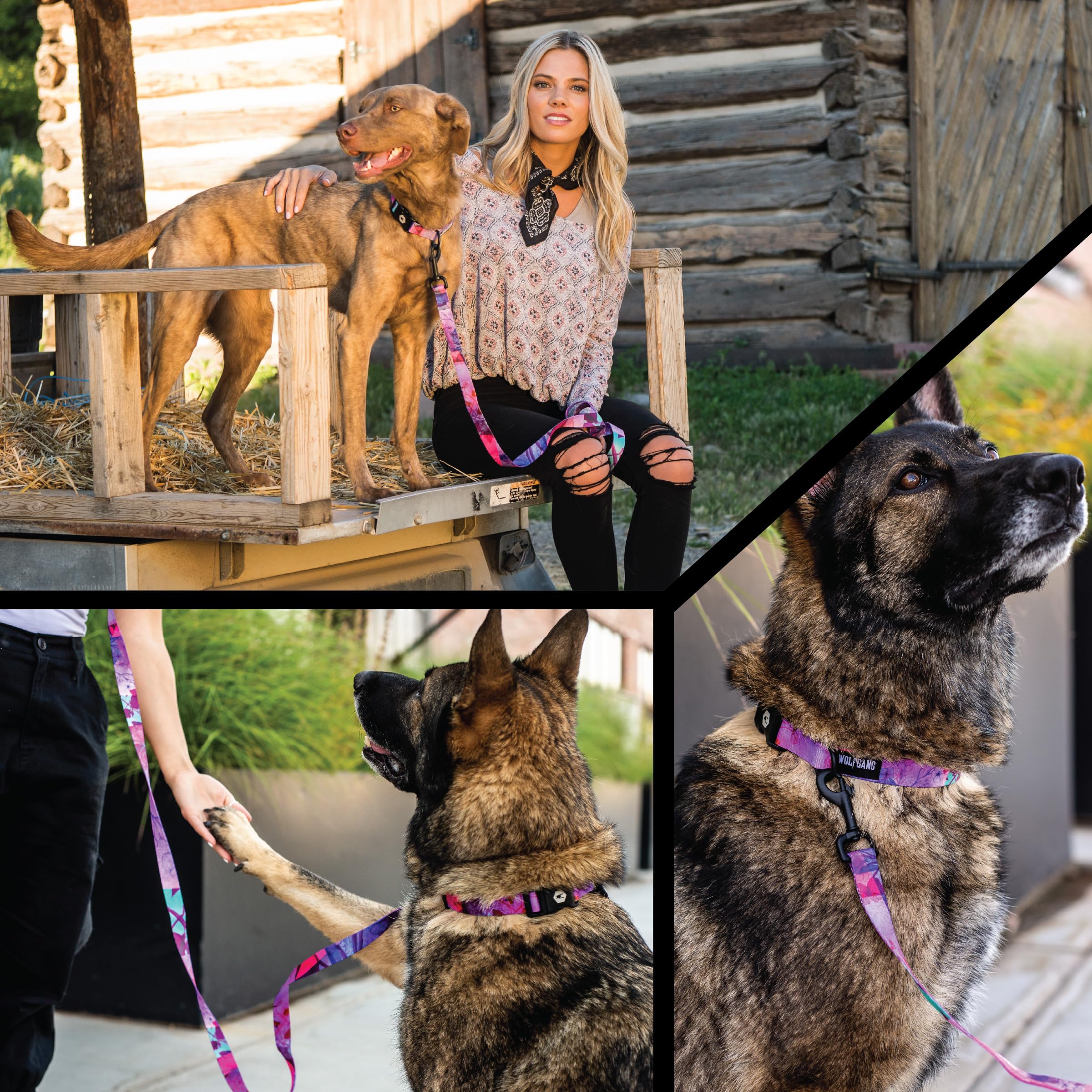 Wolfgang Heavy Duty Adjustable Dog Harness, Pull-Tested to Over 800 lbs for Walking & Training, Daydream Print, Medium