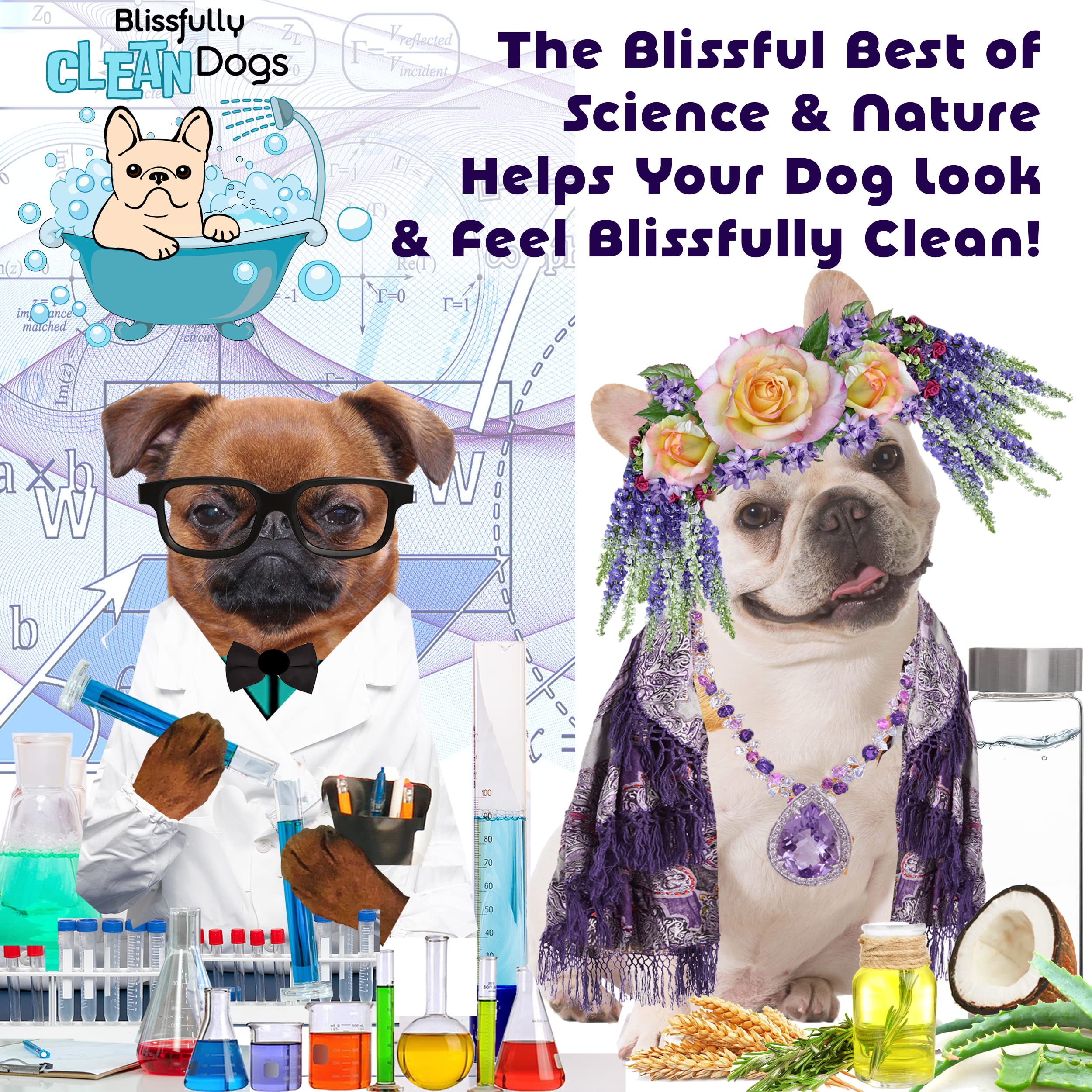 The Blissful Dog No H2O Waterless Pet Shampoo, 4 oz.
