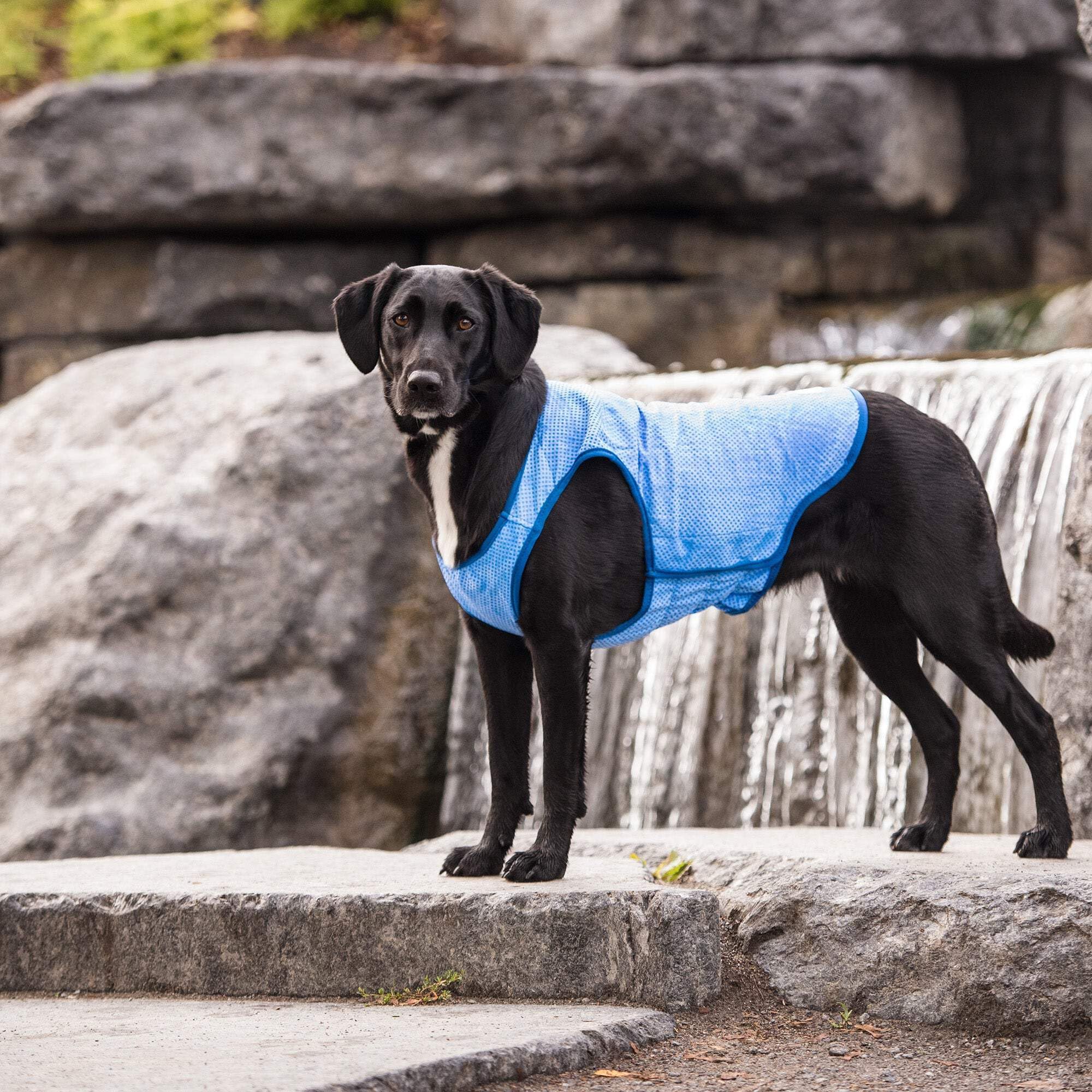 Gf Pet Blue Elasto-Fit Ice Dog Vest, X-Large