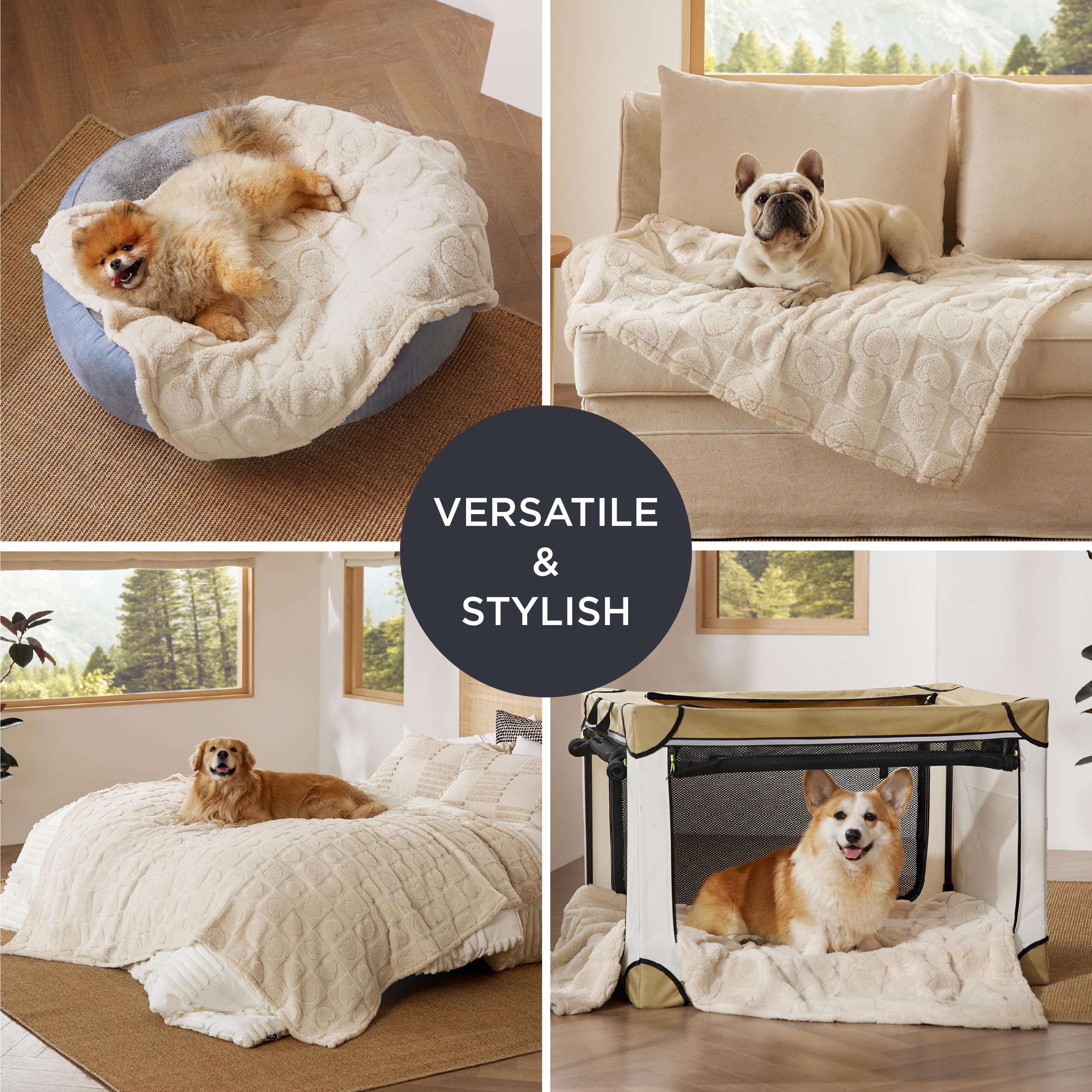 Bedsure 1 Pack 2 Dog Blankets For Small Dogs - 2Pcs Washable Soft Fluffy Puppy Blanket With Premium 300Gsm Coral Fleece, Cozy Ca