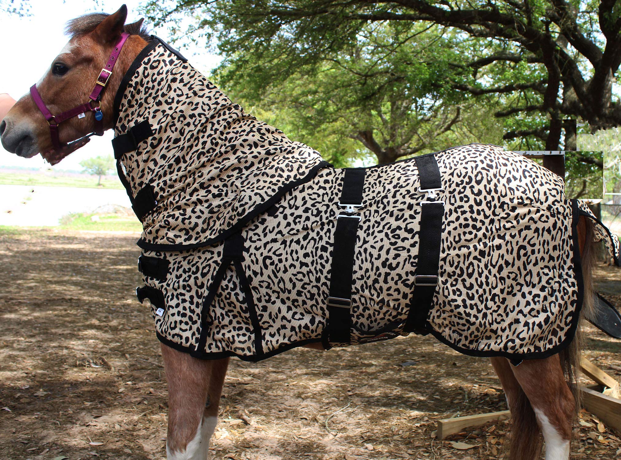 Challenger 58' Miniature Weanling Donkey Pony Horse Foal Summer Sheet 51817