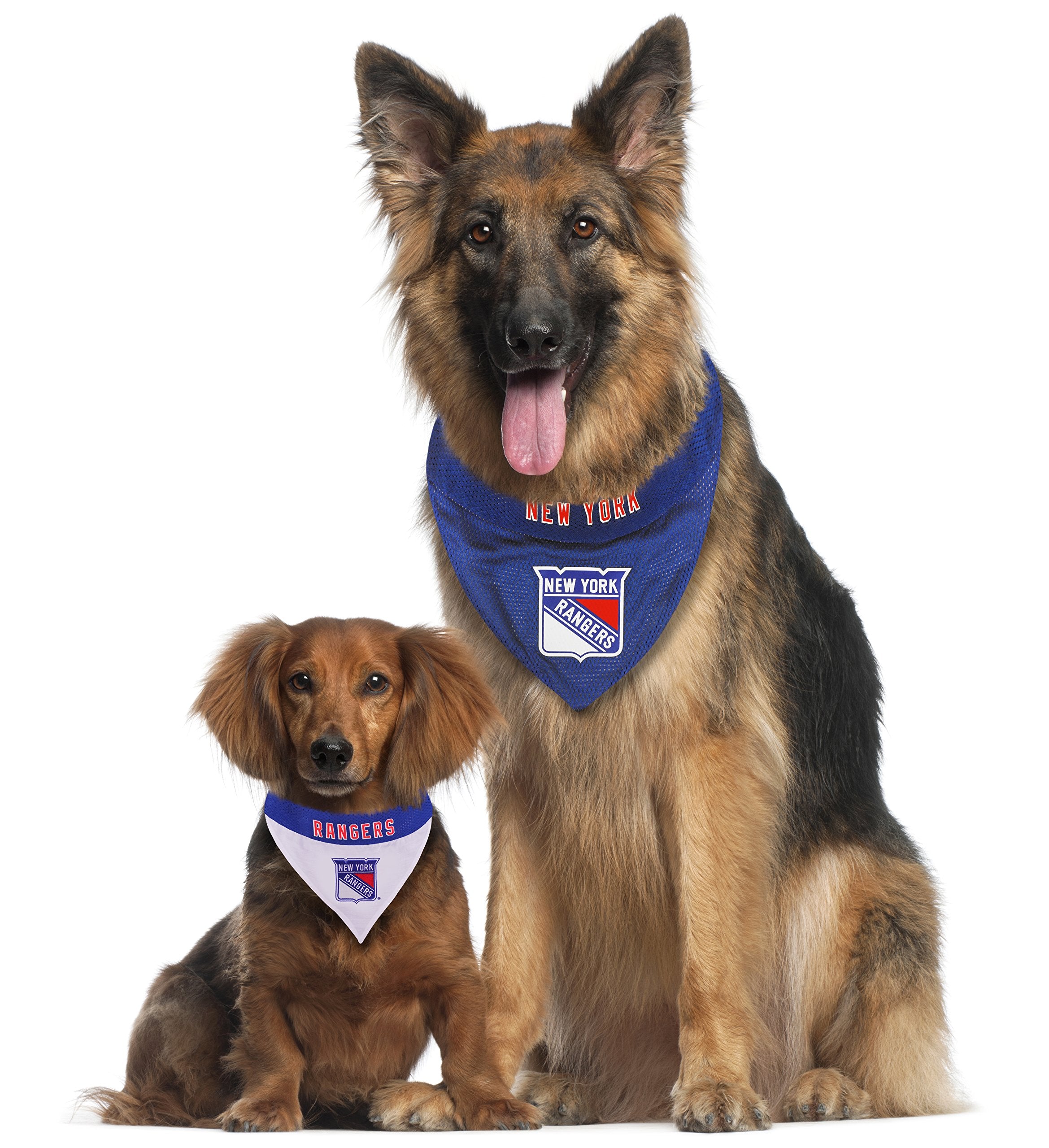 NHL NEW YORK RANGERS BANDANA for DOGS & CATS, Large/X-Large. - Cute & Stylish Bandana! The Perfect HOCKEY FAN Scarf Bandana, gre