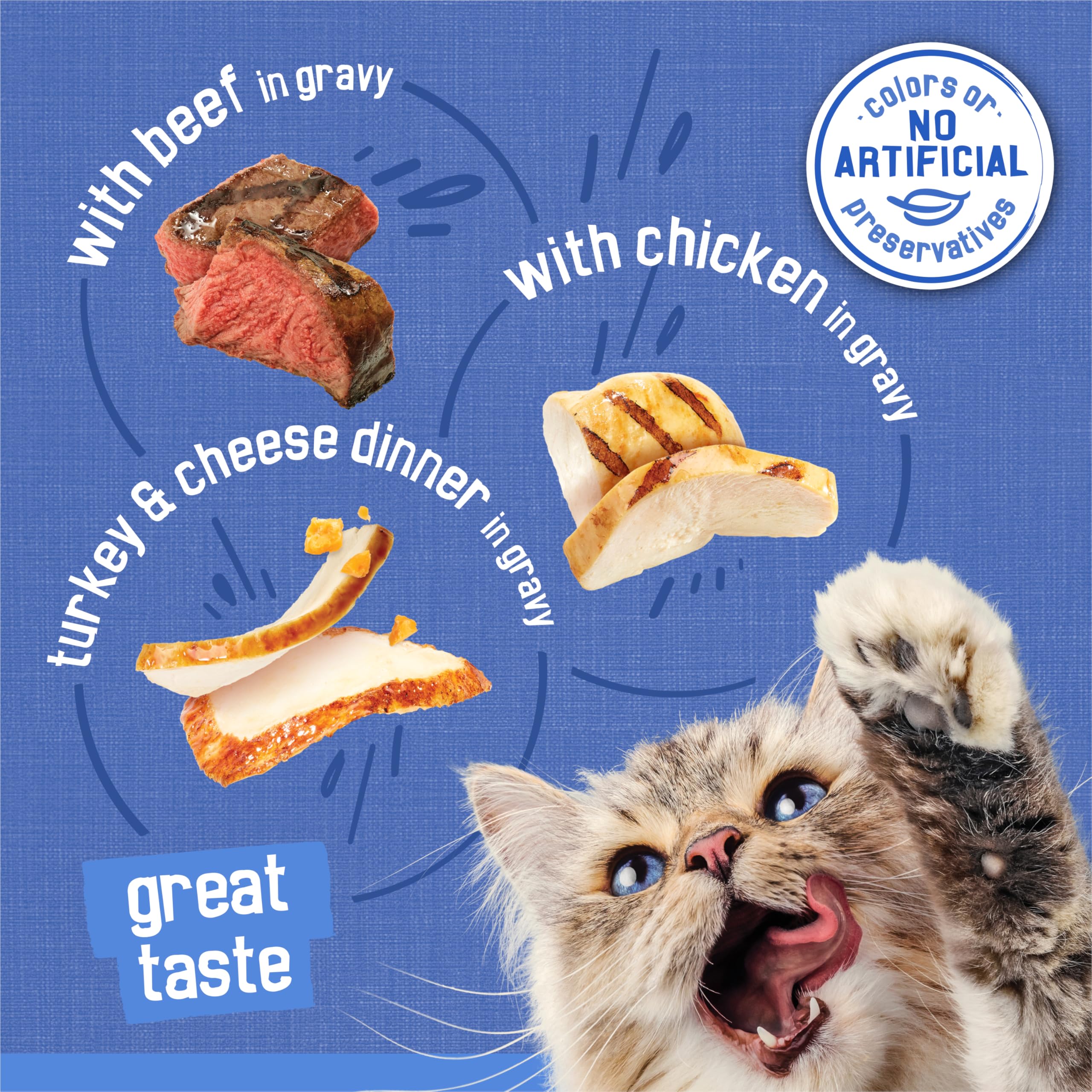 Purina Friskies Gravy Wet Cat Food Variety Pack, Shreds With Beef, With Chicken, and Turkey and Cheese Dinner - (Pack of 24) 5.5