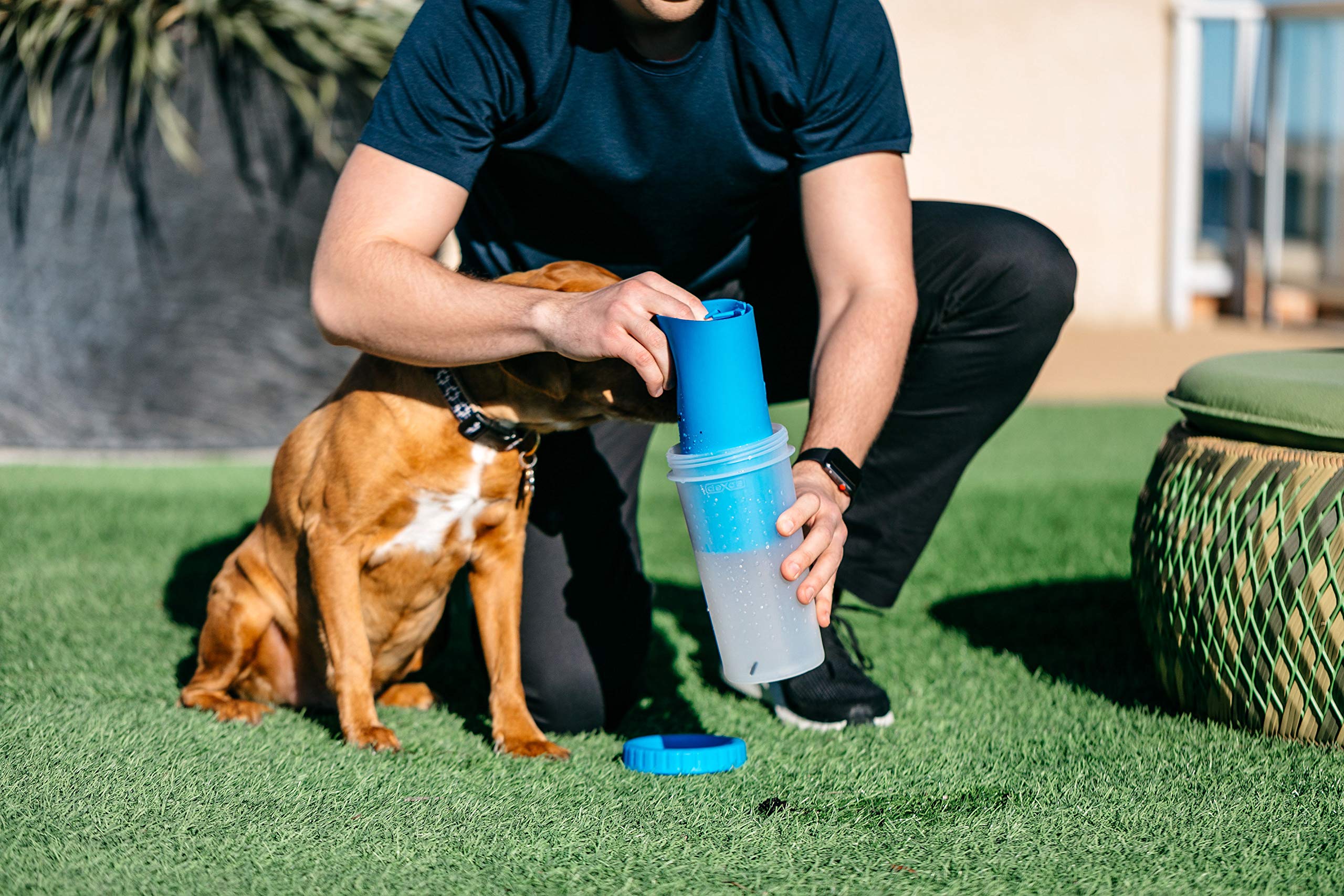 Dexas Mudbuster Portable Dog Paw Washer/Paw Cleaner, Large, Pro Blue
