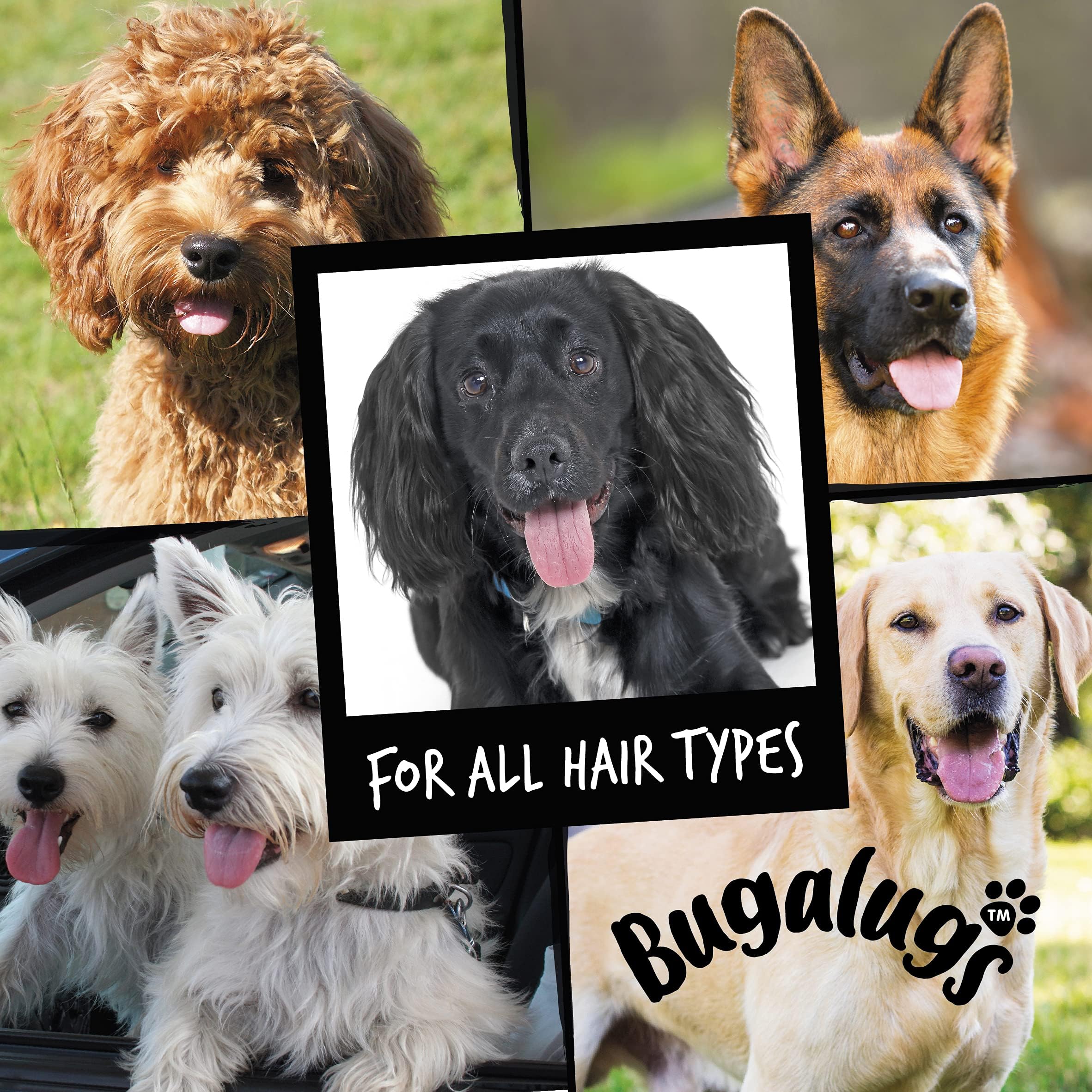 Bugalugs Dog Shampoo Luxury 2 In 1 Papaya & Coconut Dog Grooming Shampoo Products For Smelly Dogs With Fragrance, Best Puppy Shampoo, Professional Groom Vegan Pet Shampoo & Conditioner
