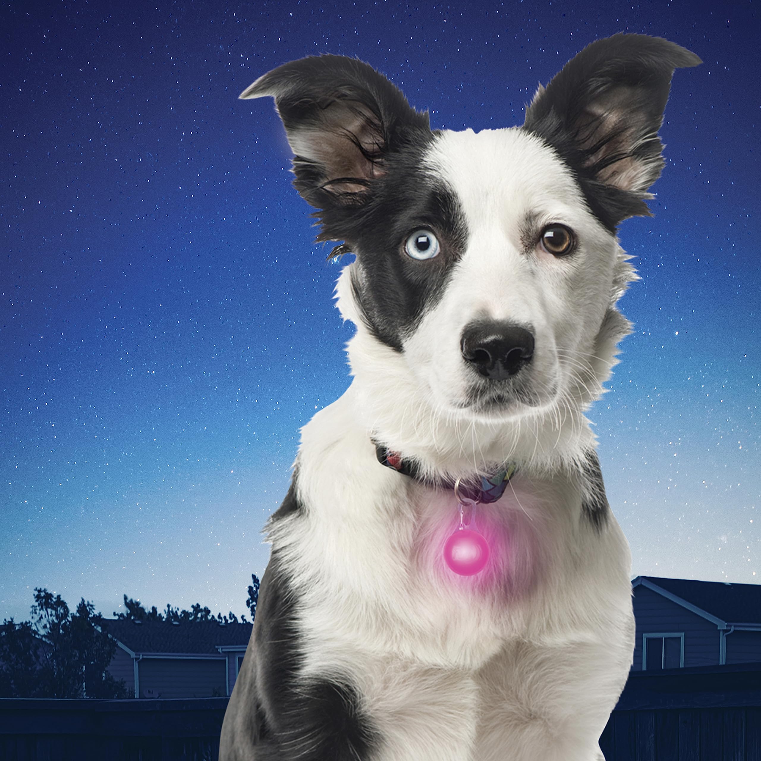 Nite Ize Spotlit Dog Collar Light, Pink