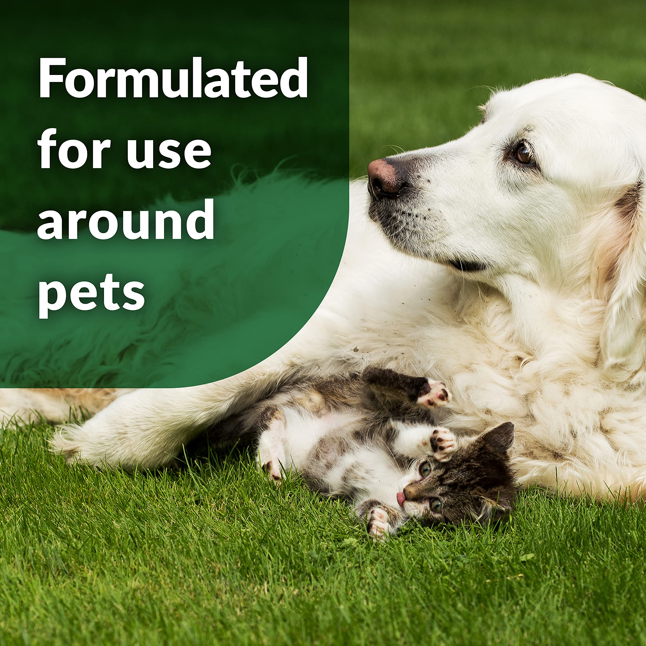Simple Green Outdoor Odor Eliminator For Pets, Dogs, Ideal For Artificial Grass & Patio (32 Oz Hose End Sprayer & 1 Gallon Refill)