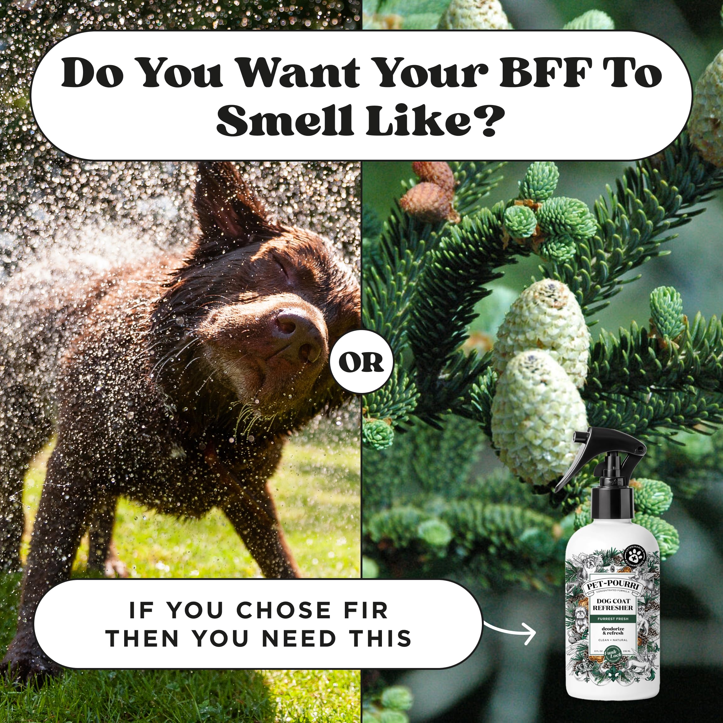 Poo-Pourri Dog Deodorizing Spray, 8 Fl Oz Grooming Perfume, Vet Recommended, Paraben & Sulfate-Free, Fir & Cedarwood Scent