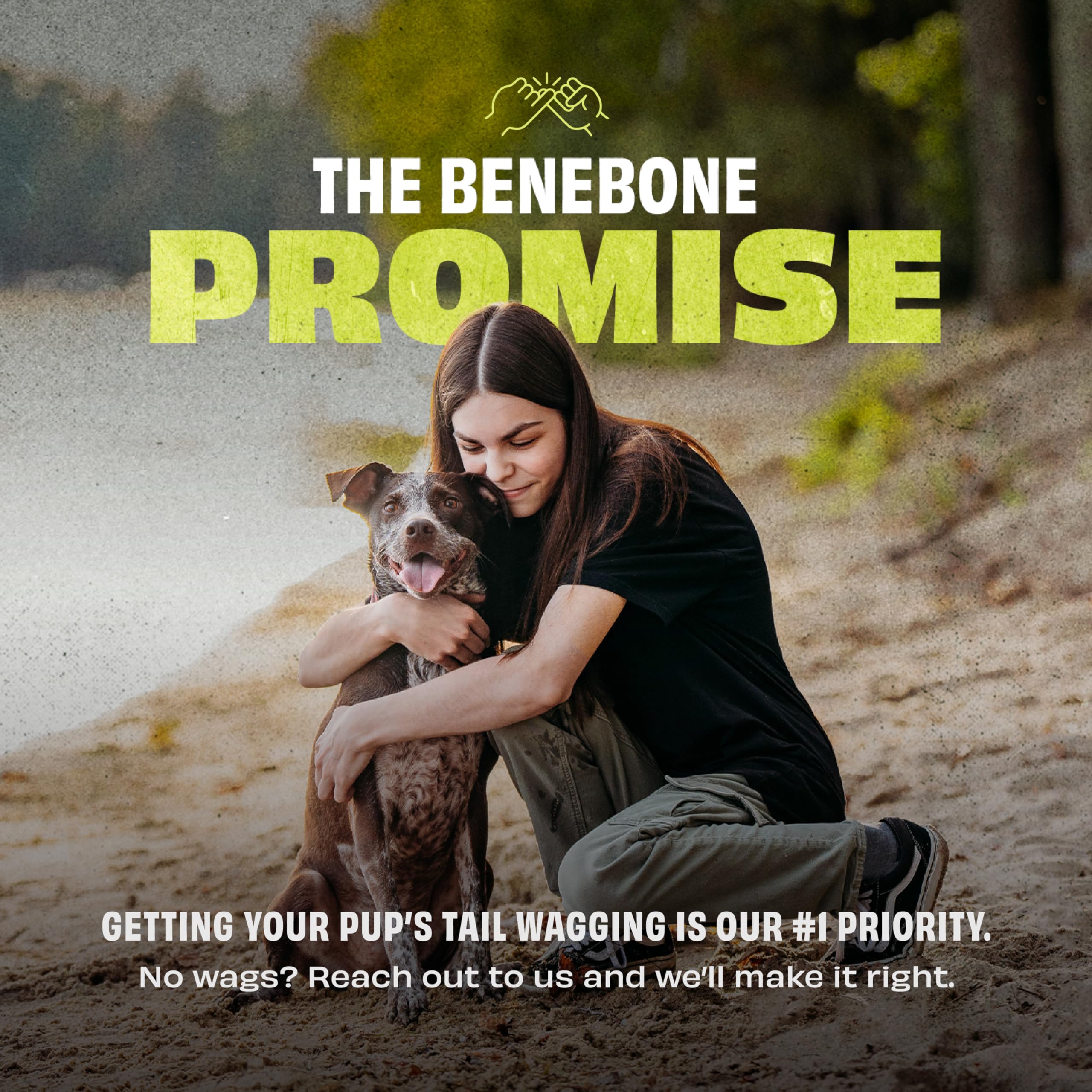 Benebone 4-Pack Rubber Ball