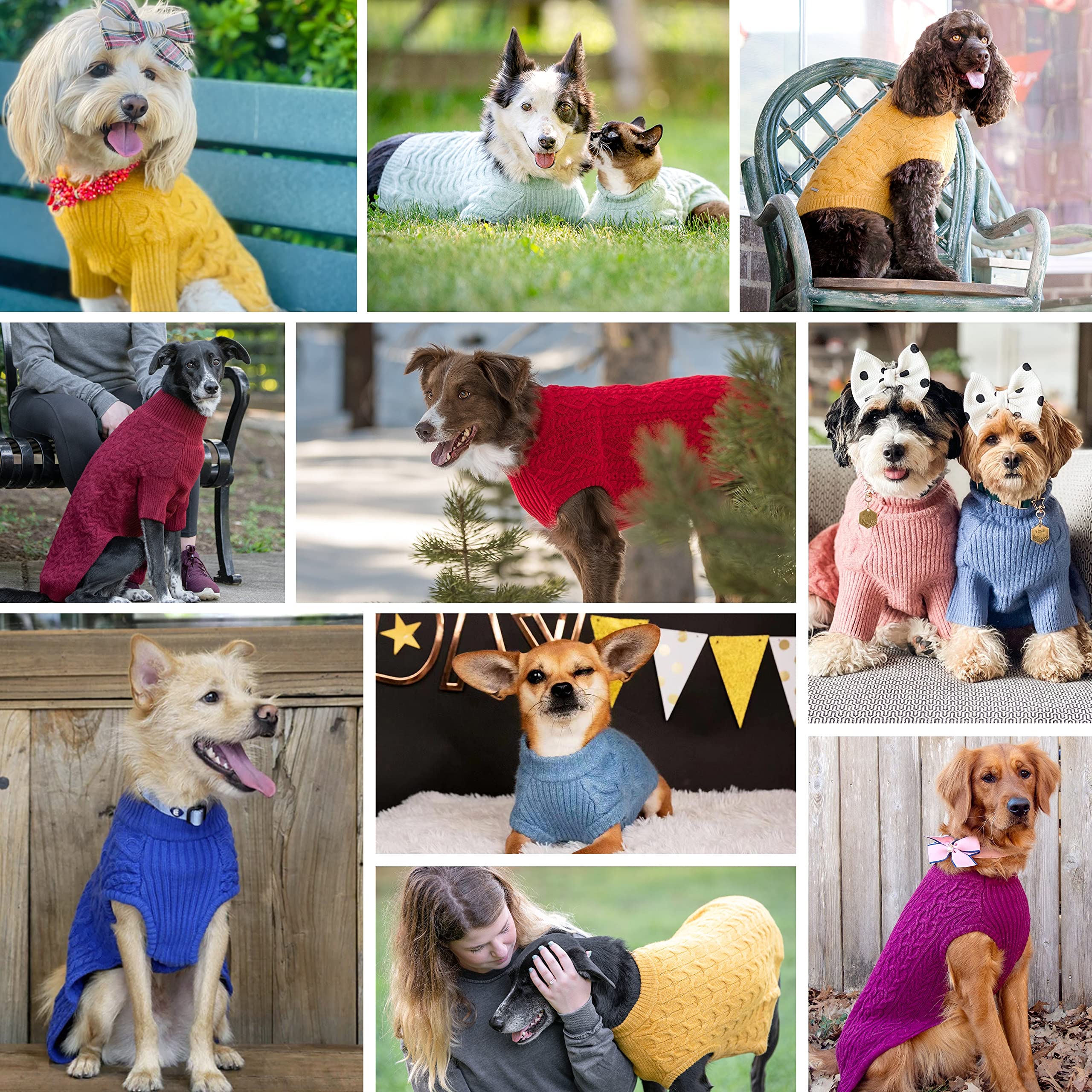 Blueberry Pet Classic Dog Sweater Wool Blend Cable Knit Pullover Crewneck Winter Clothes In Red Danger, Back Length 12', Small Warm Coat For Pet