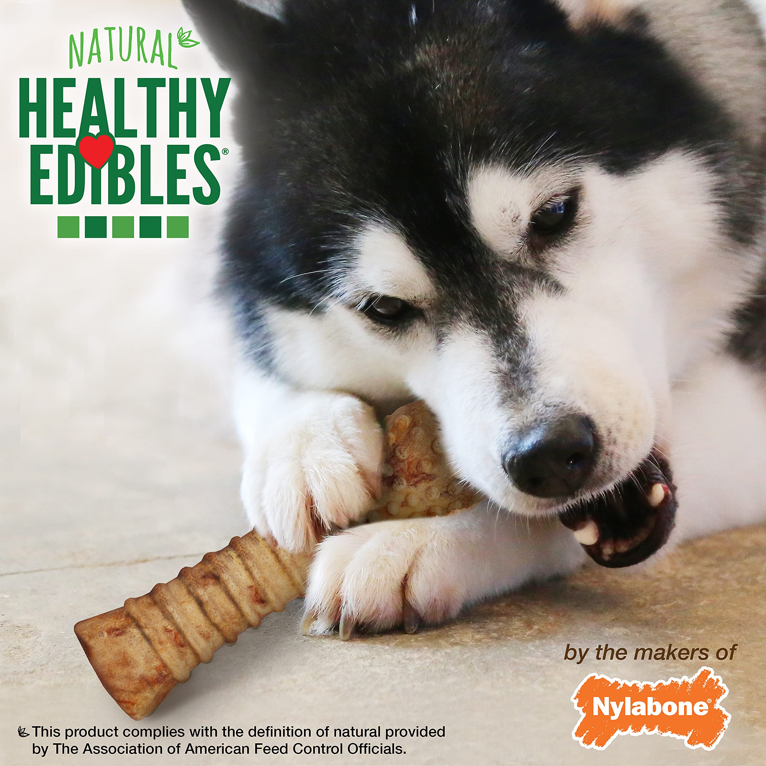 Nylabone (3 Pack) Healthy Edibles Turkey and Apple Flavored - Size Souper