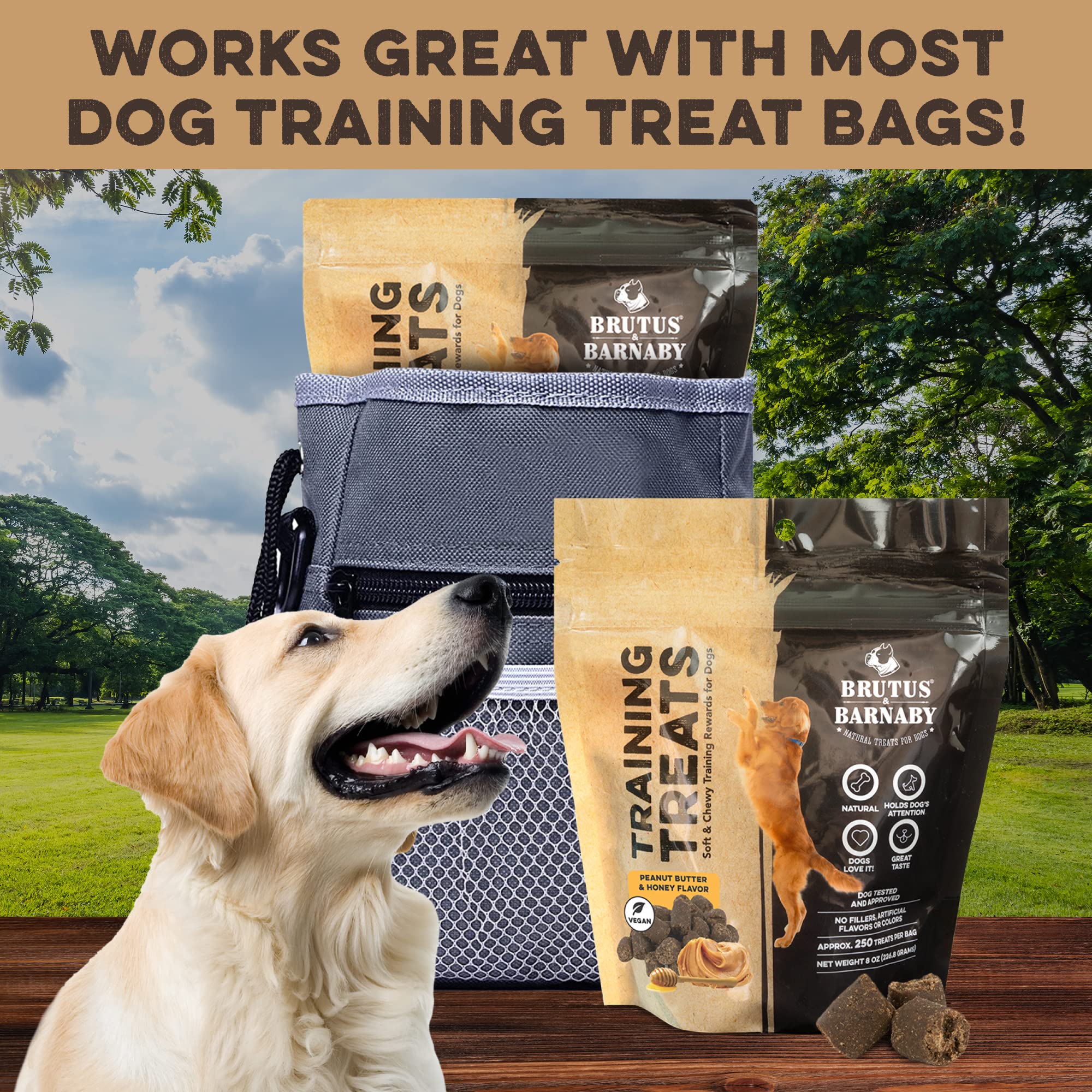 BRUTUS & BARNABY Training Treats for Dogs - Peanut Butter & Honey - All-Natural Healthy Low Calorie Vegetarian Treat - Great to