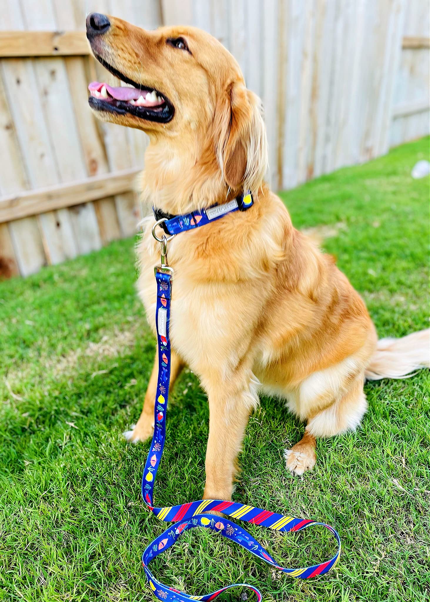 Mackey Large Dog Leash - Tropical Fish Pattern, Blue Color, Durable & Long Lasting