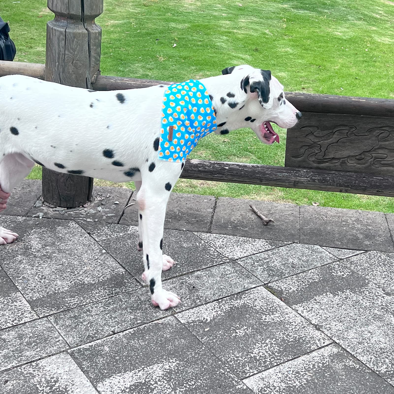 Mr. Chubbyface Blue Beer Dog Bandanas Reversible Triangle Bibs Scarf Accessories For Dogs Cats Pets