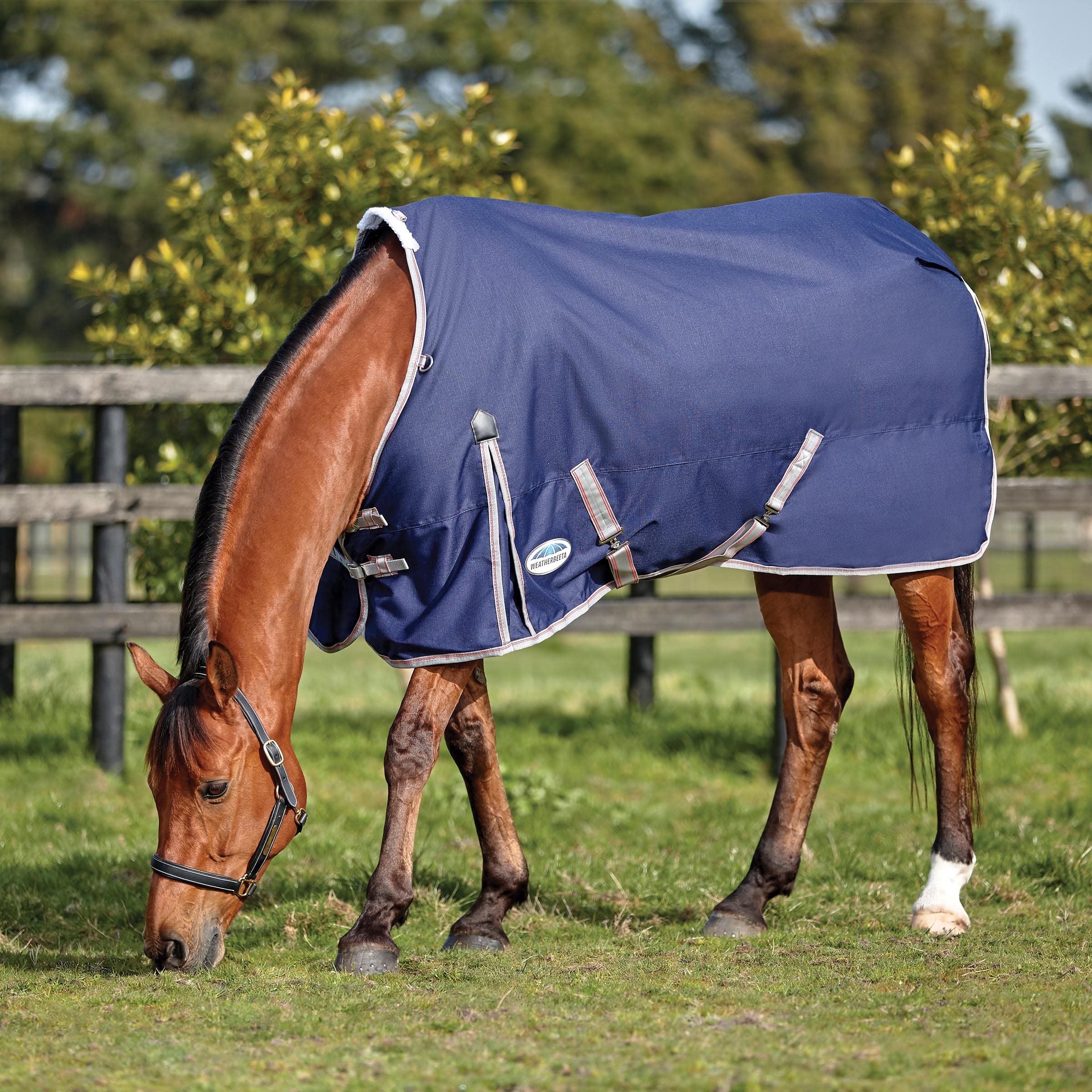 Weatherbeeta Comfitec Essential Standard Neck Lite, Navy/Silver/Red, 75''