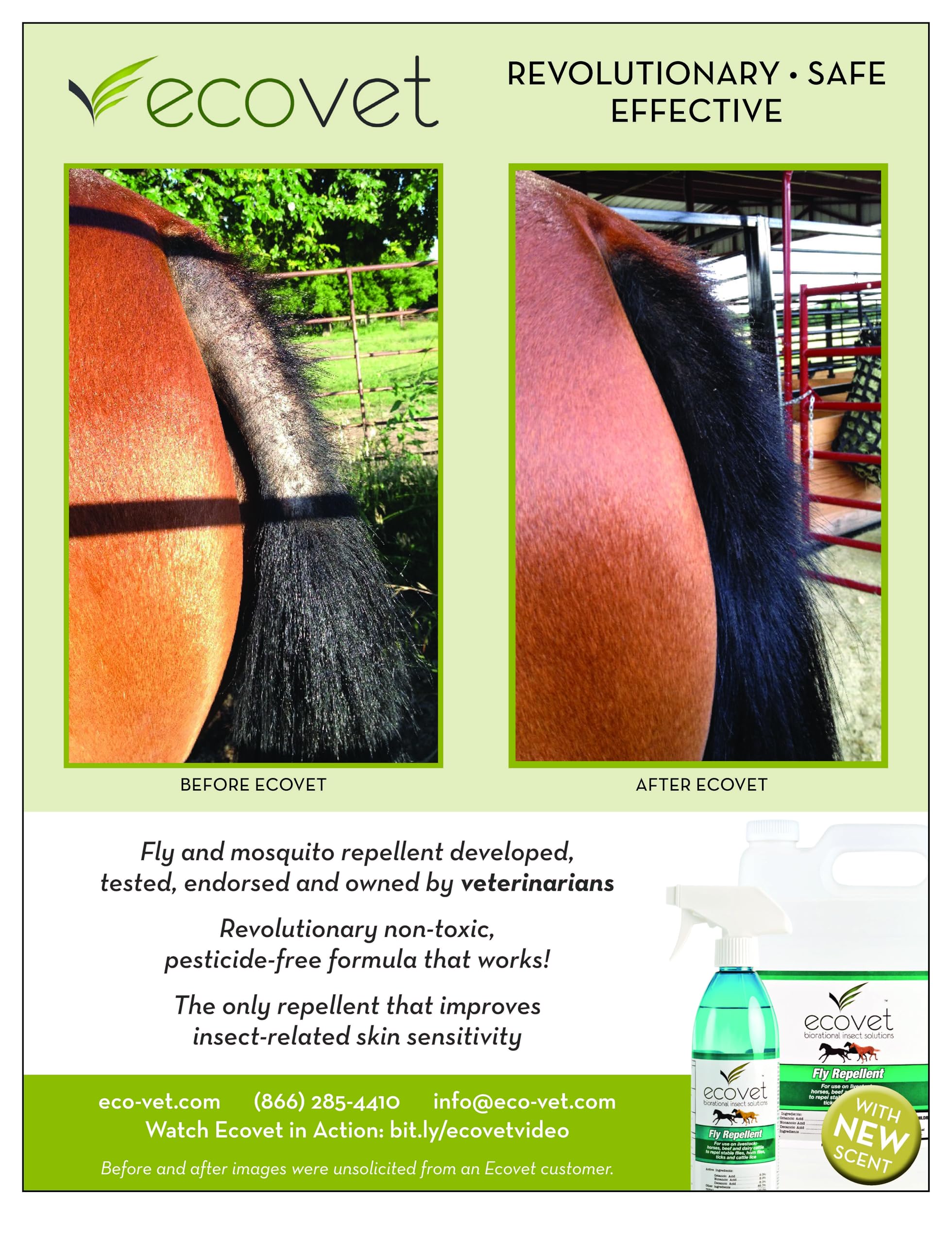 Ecovet Fly Spray Repellent/Insecticide, 18 oz