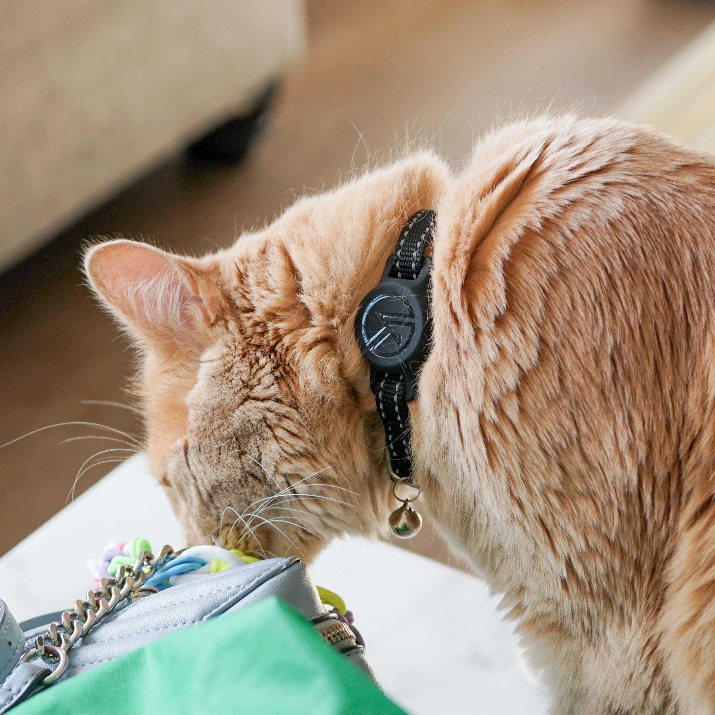 Kitty Kompass Tile Sticker Cat Collar Holder - Lightweight Silicone GPS Tracker for Cats - Blue
