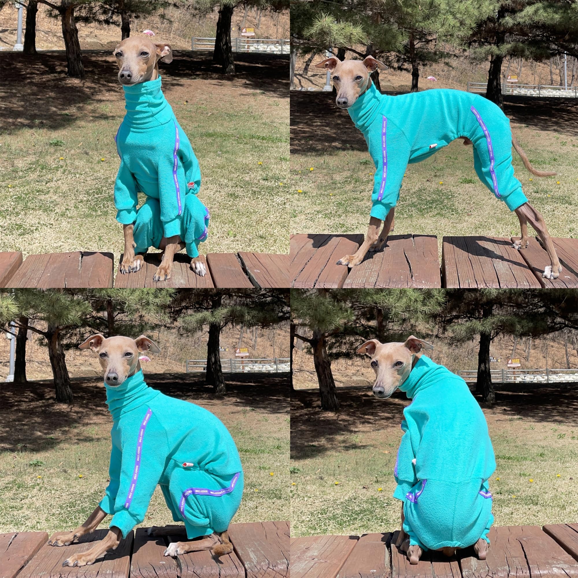 D Doggy Star Italian Greyhound Clothes Stretchy Towel Sports Onesie Outfit Whippet For Dog Coat (Xl,Twl Turquoise)