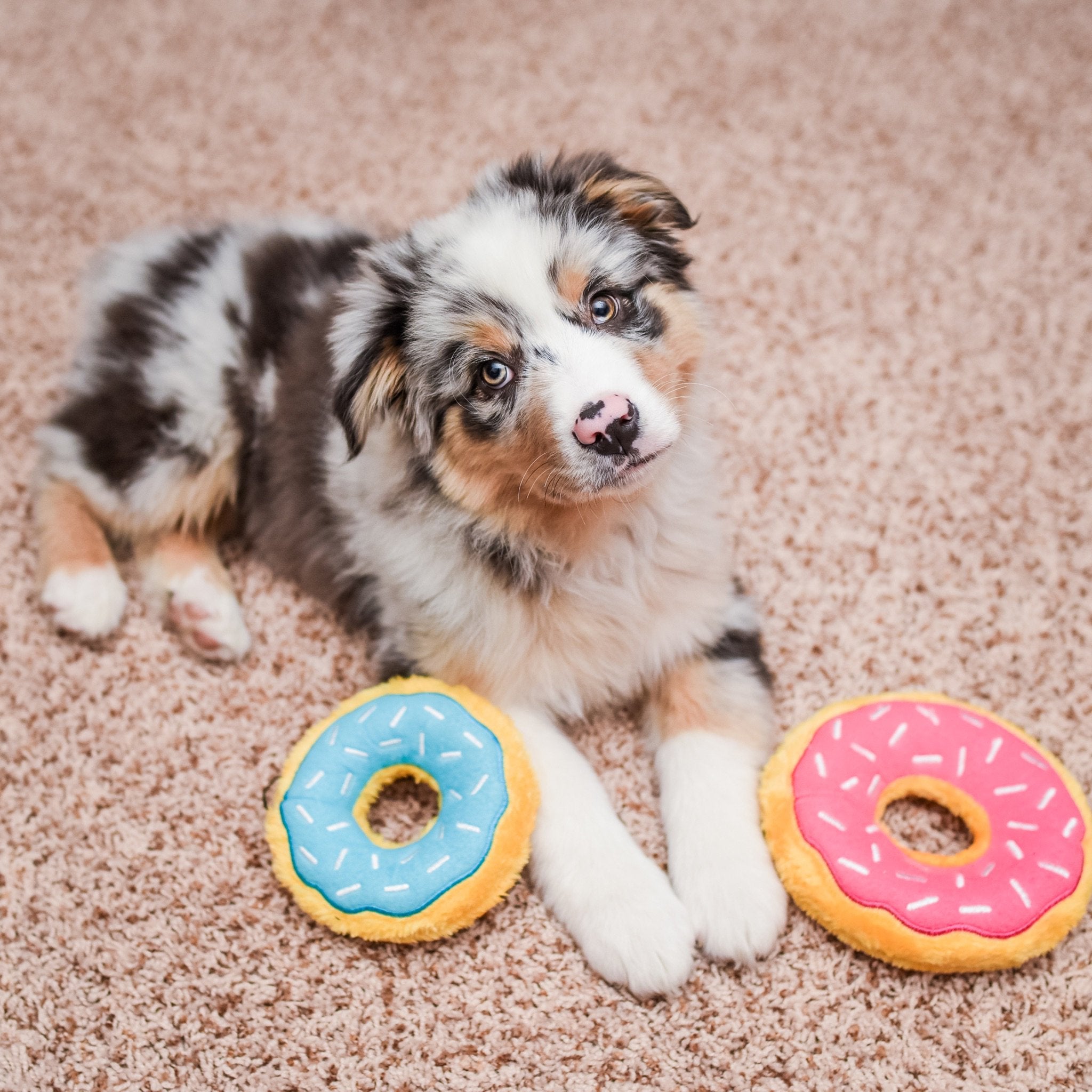 Zippypaws - Mini Donutz - No Stuffing, Squeaky Plush Dog Toy - Strawberry, Mini Size