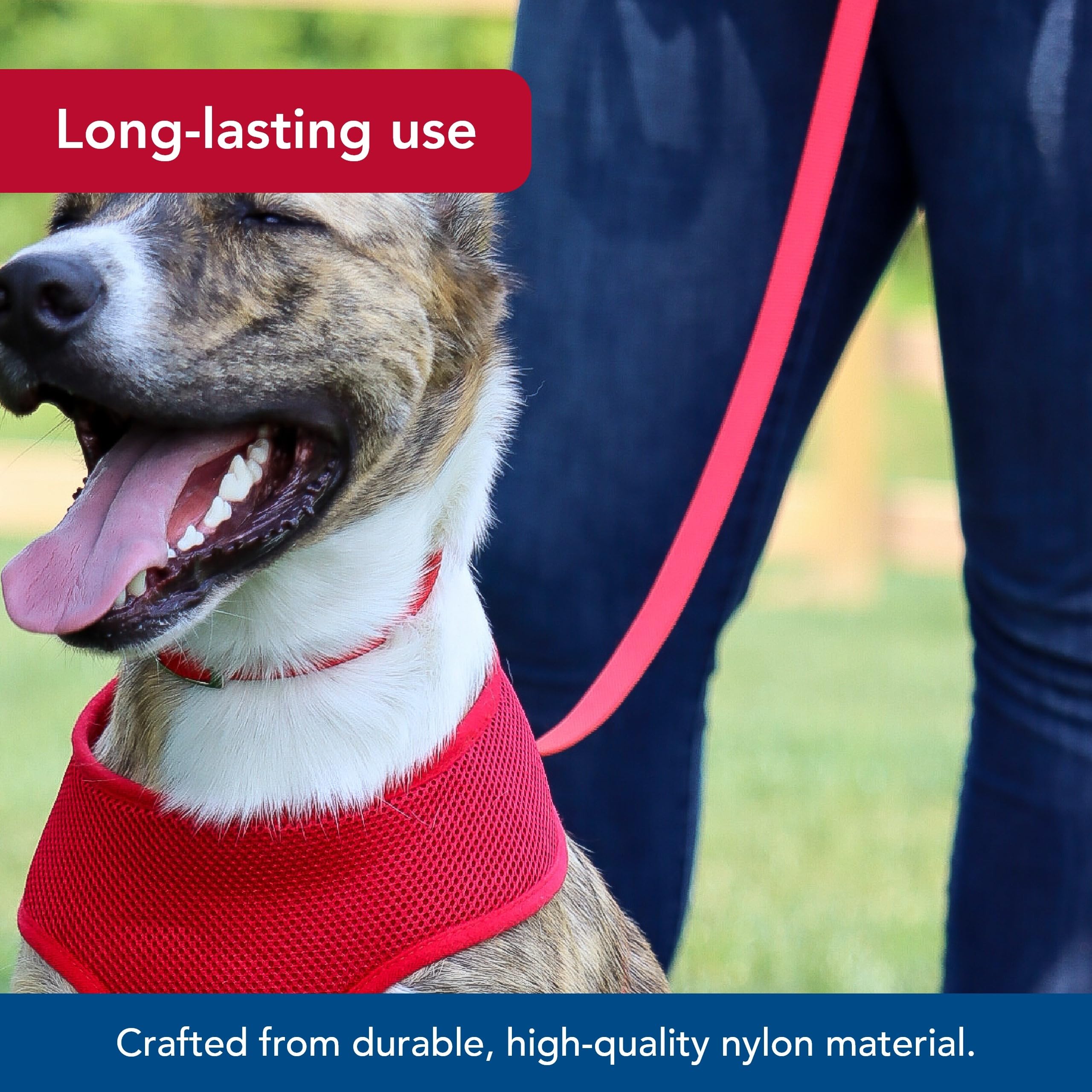 Coastal Pet Single-Ply Dog Leash - Sturdy Pet Leash - Comfortable & Stylish - Resists Fraying - Vibrant & Fade-Resistant Color - Neon Pink, 3/4' X 6'