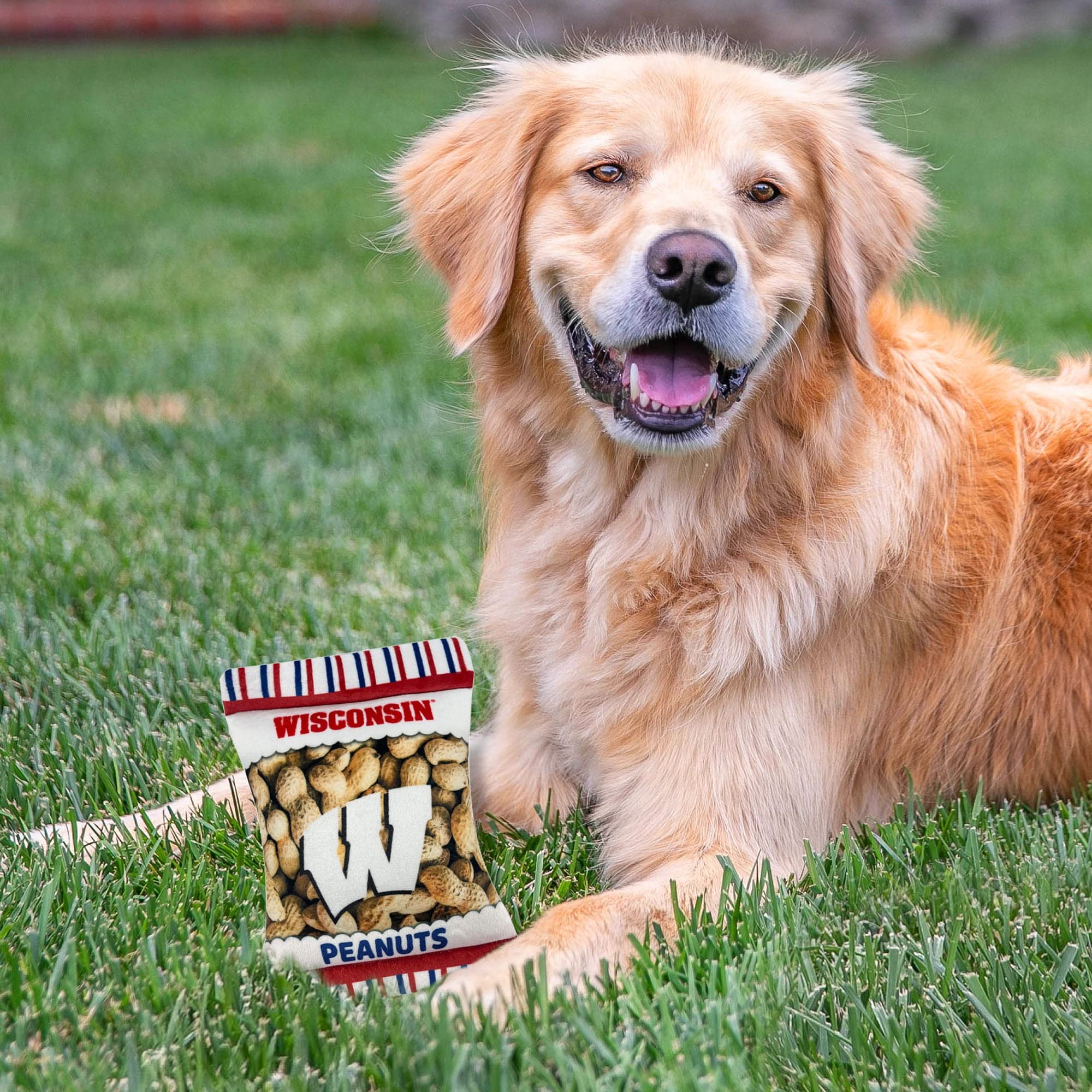 Pets First Ncaa Wisconsin Badgers Crinkle Fine Plush Dog & Cat Squeak Toy- Cutest Stadium Peanuts Snack Toy For Dogs & Cats With