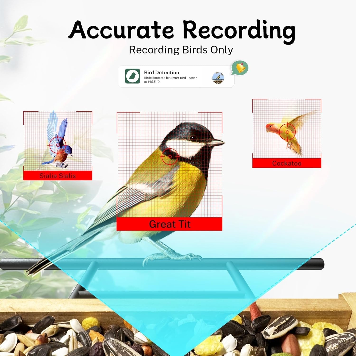 Bird Feeder Camera WiFi Smart AI Motion Detection 1080P 1.5L