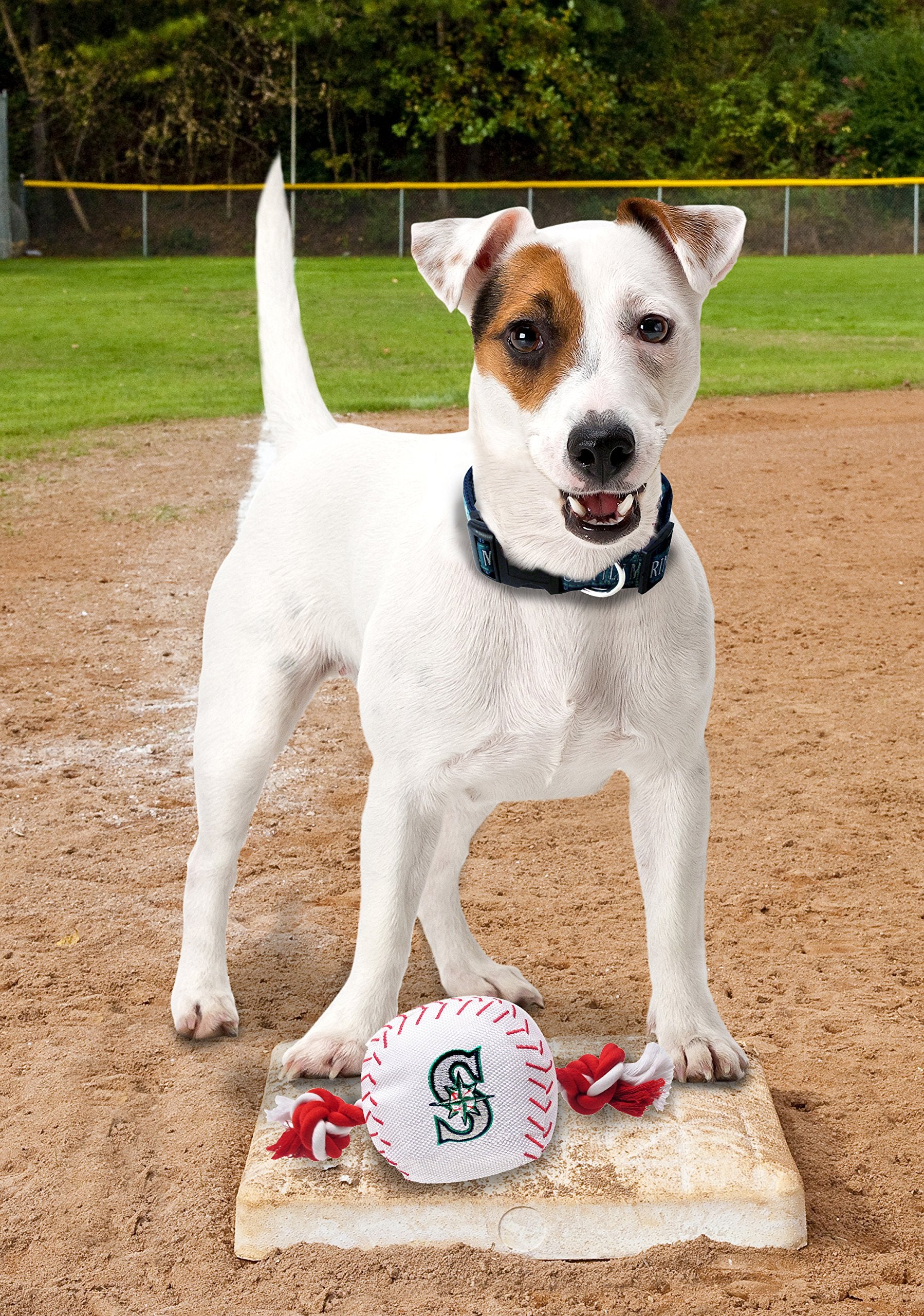 Mlb Seattle Mariners Baseball Rope Toy For Dogs & Cats. Tough Nylon, Sporty Baseball Design, Heavy-Duty Ropes With Inner Squeake
