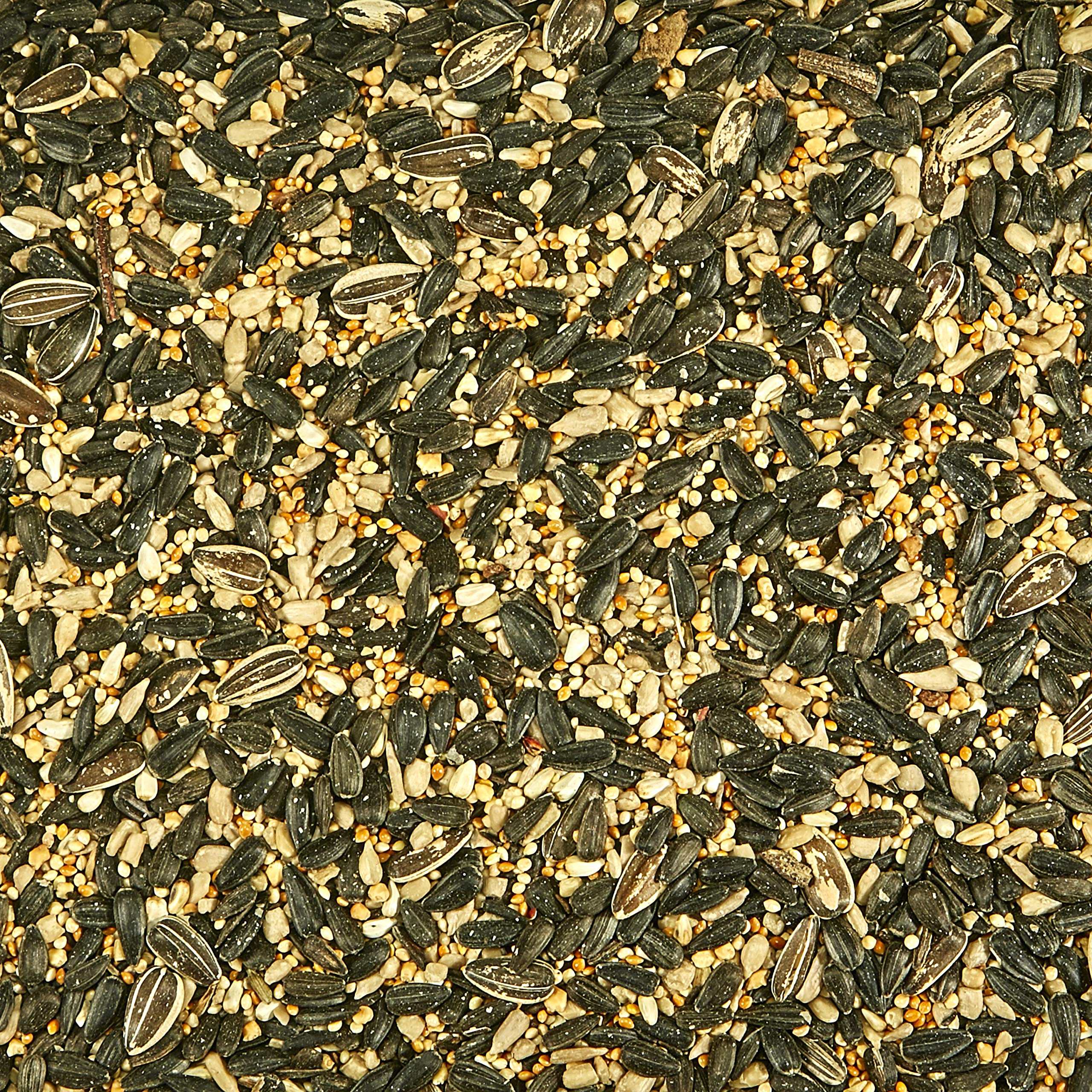 Kaytee Northeast Regional Wild Bird Blend, 7-Pound Bag