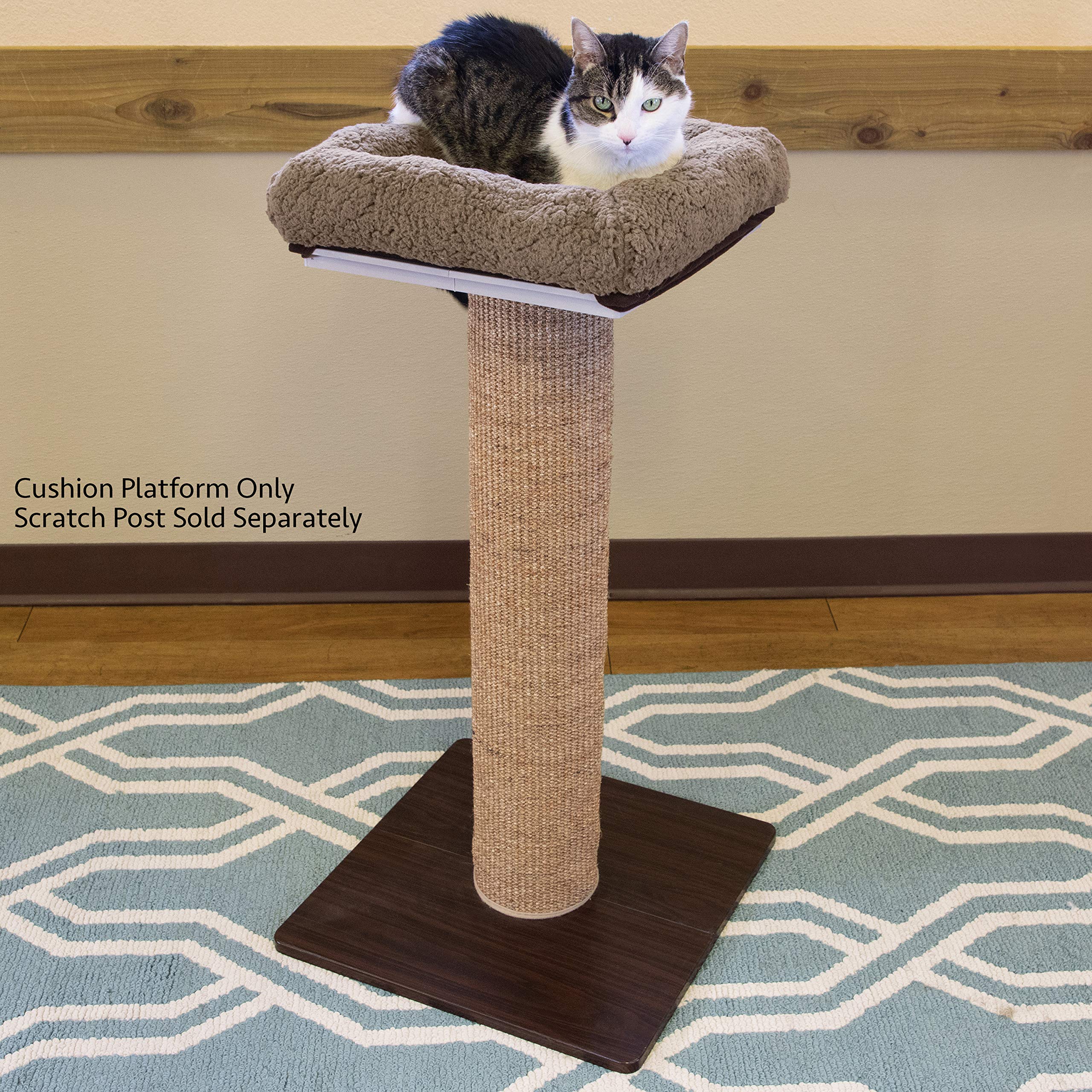 Kitty City Cat Scratchers with Cushion, 15x15x4 Inches, Brown, Polyester, Model CM-10092