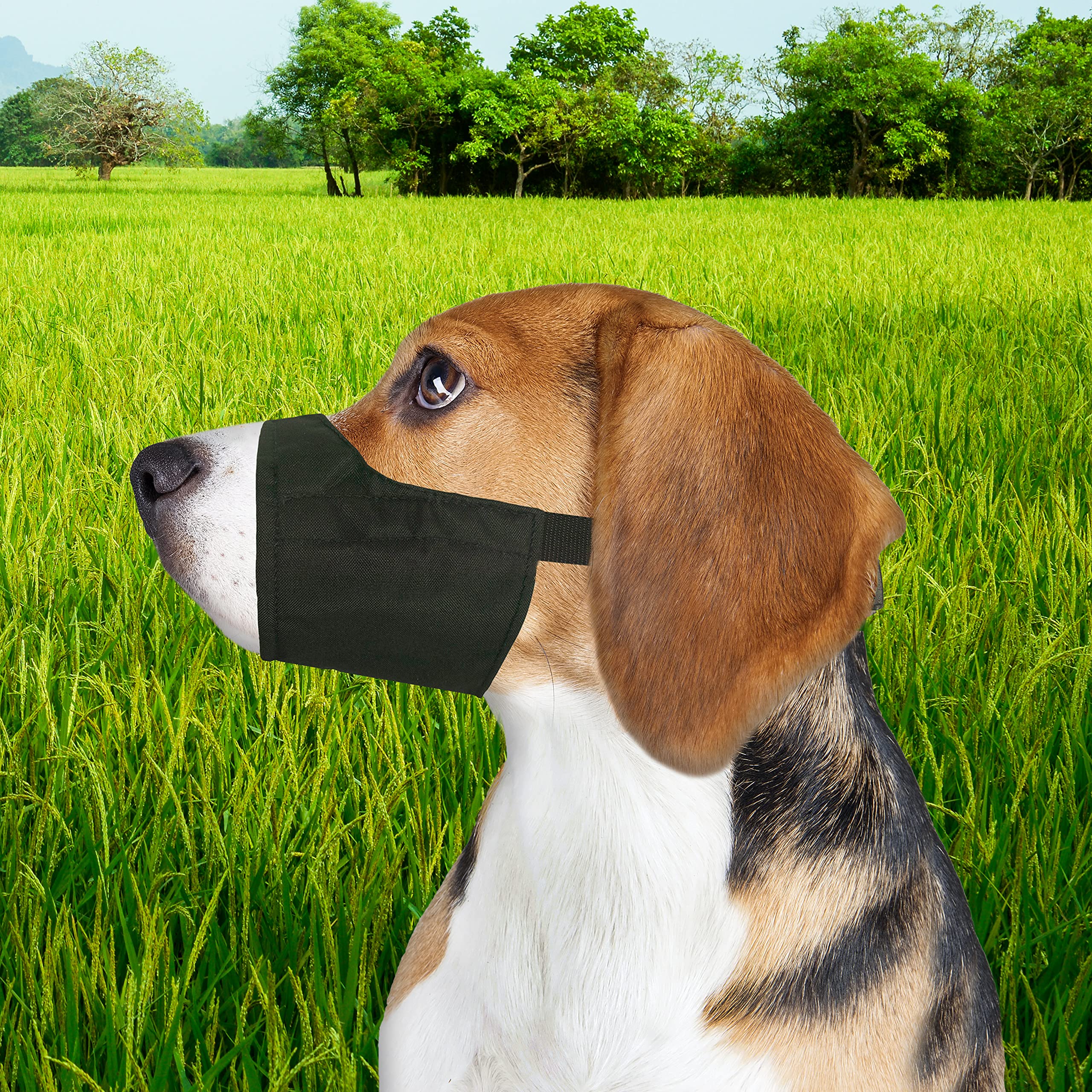 Four Paws Walk-About Quick-Fit Adjustable Dog Muzzle for Small Dogs, Washable & Breathable, Black, 1 Count