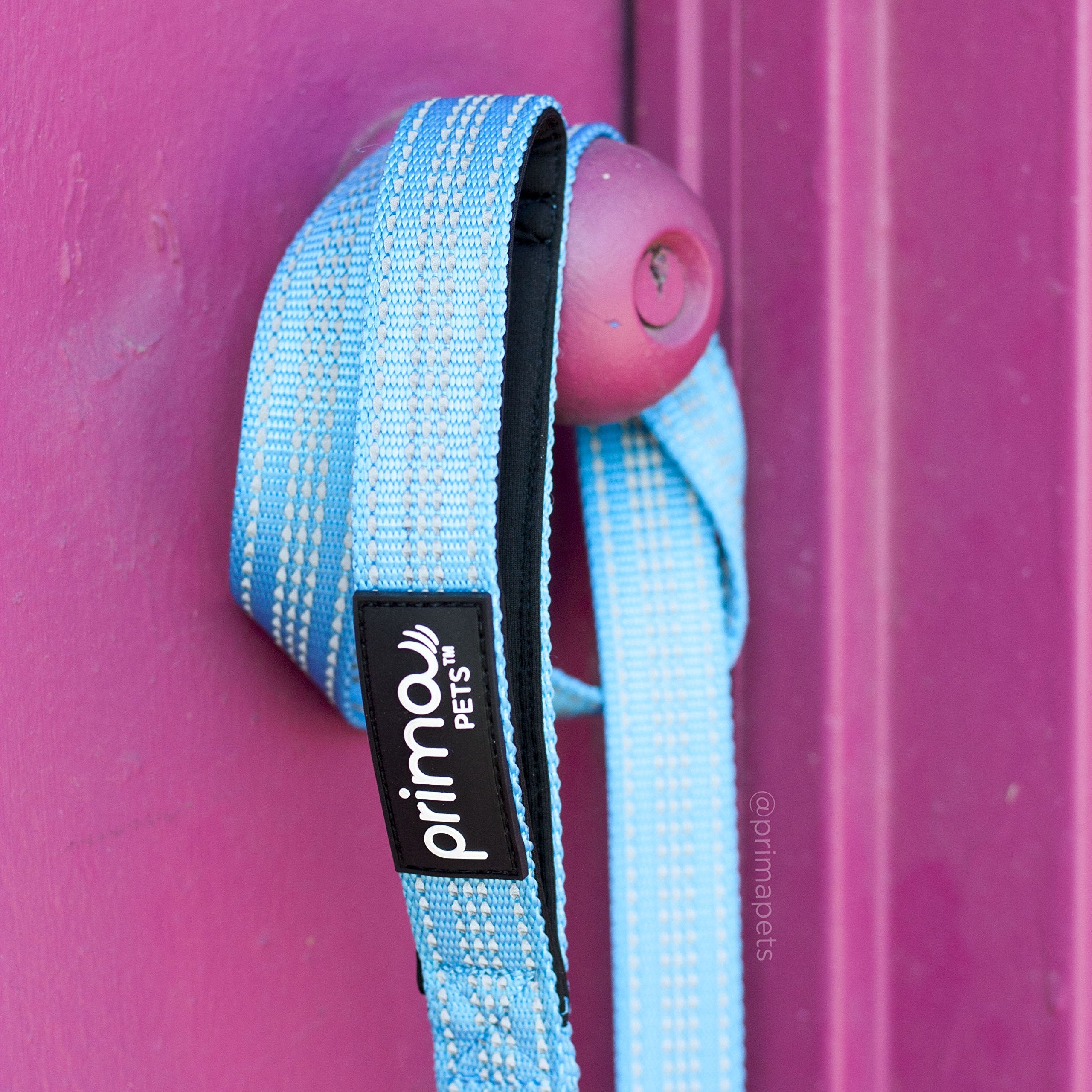 Prima Pets Reflective Dog Leash, 4ft Nylon with Padded Handles, 1" Width, Aqua, Model L1D