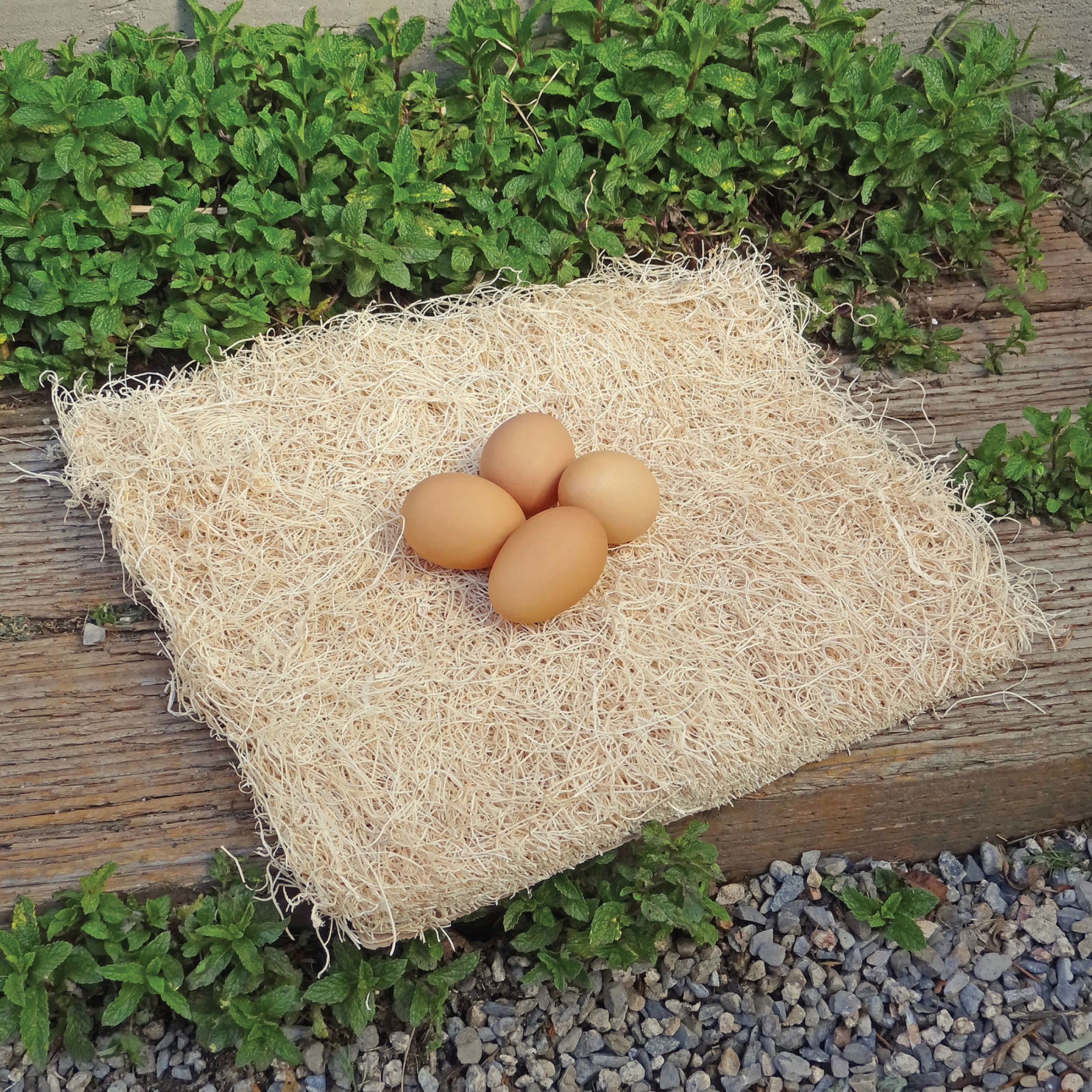 Precision Pet Chicken Nesting Pads By Petmate - 13    X 13    Premium Chicken Bedding Fit Most Nesting Boxes - 10 Pack,Beige, Ma