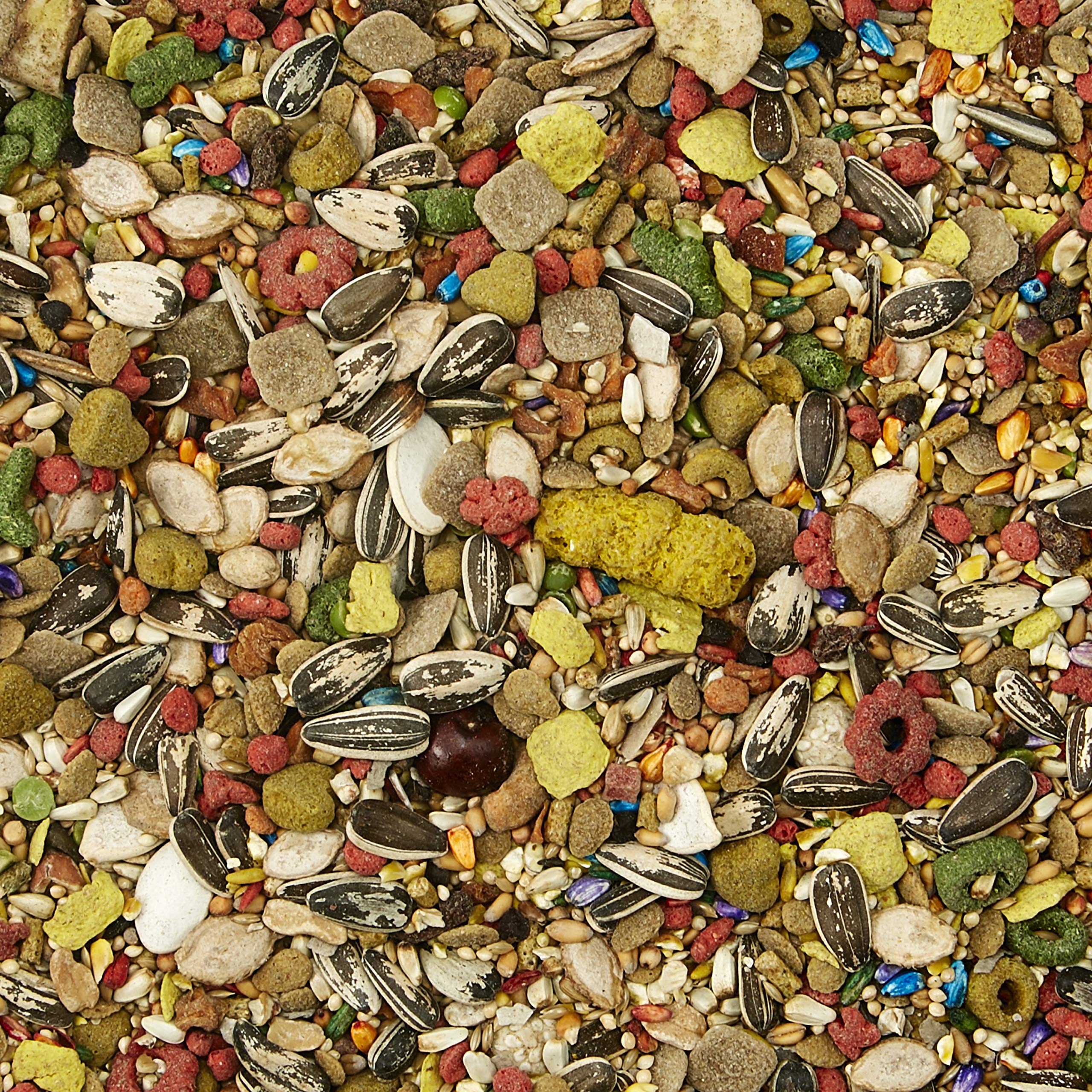 Kaytee Fiesta Pet Conure Food, 4.5 lb