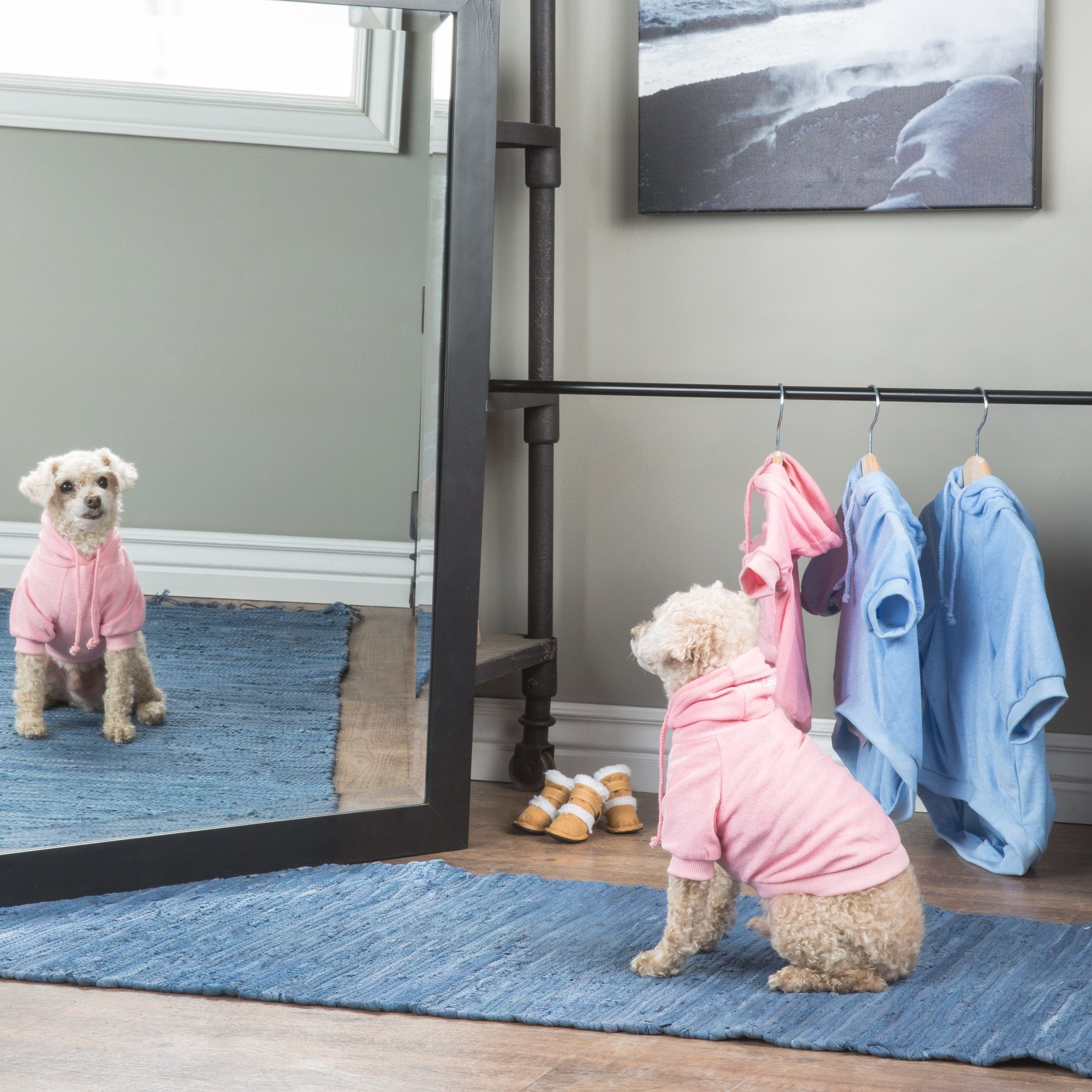 French Terry Pet Hoodie Hooded Sweater