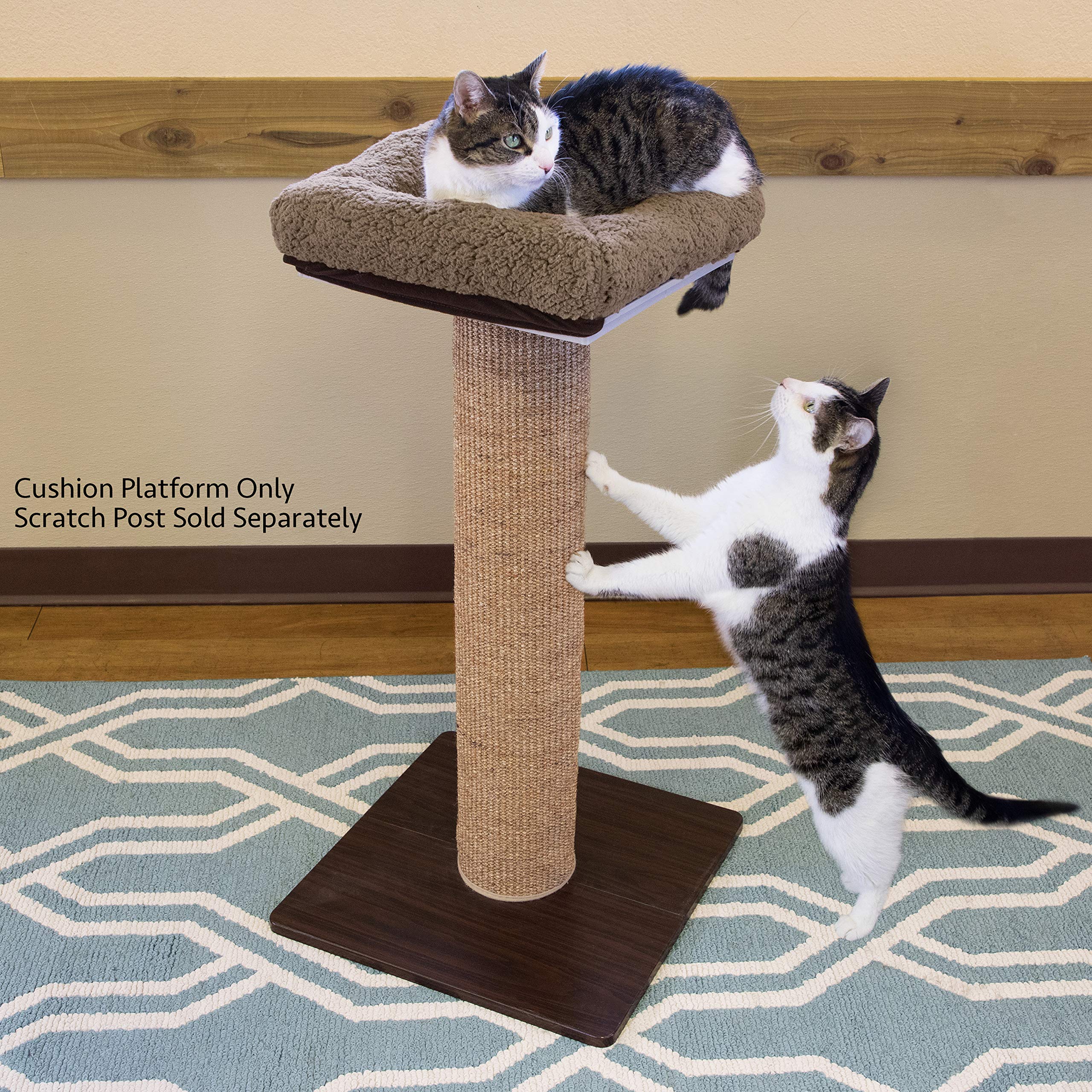 Kitty City Cat Scratchers with Cushion, 15x15x4 Inches, Brown, Polyester, Model CM-10092