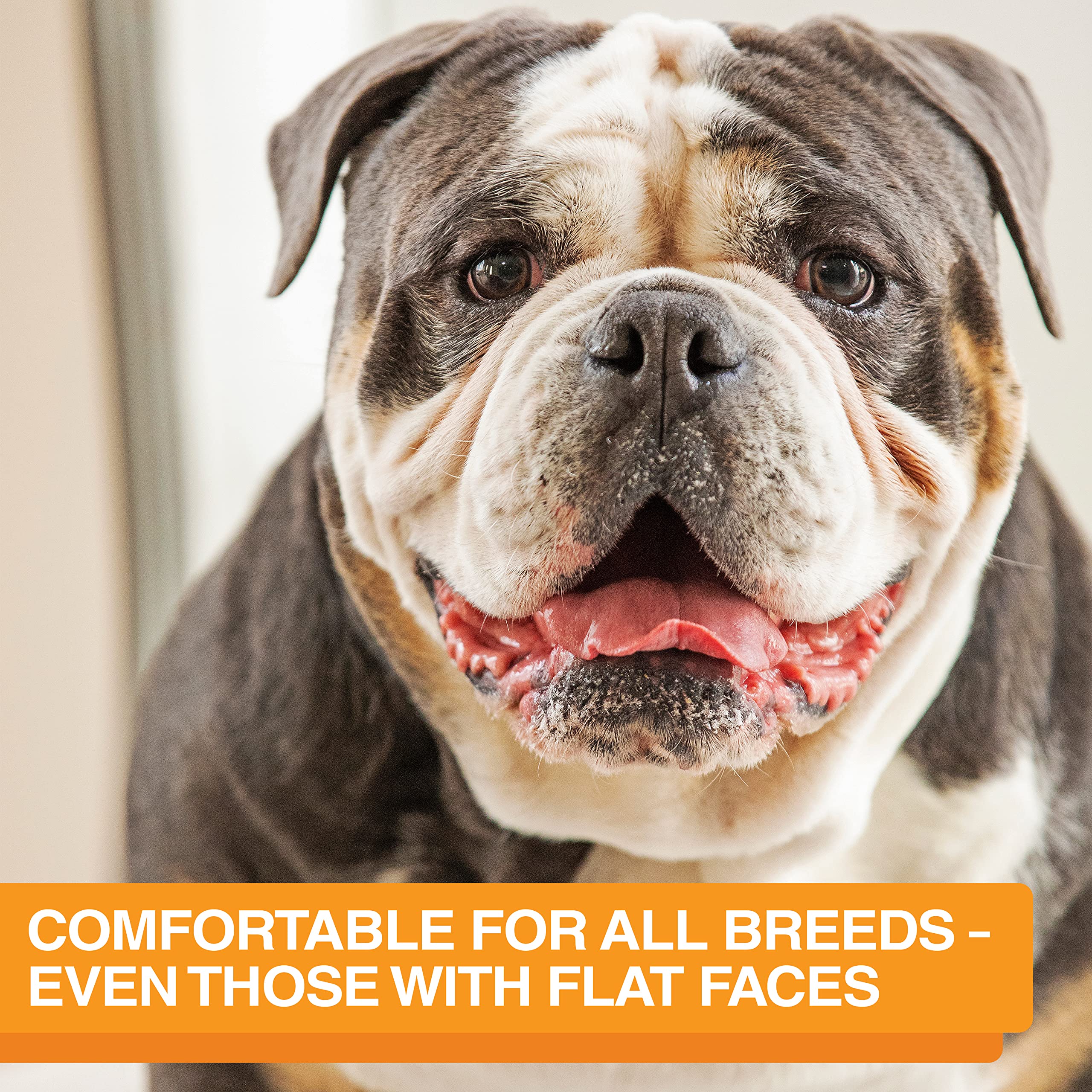 The Niner Slow Feed Bowl - Raised Peaks Slow Down Pets Eating - Fits Elevated Feeders Including Neater Feeder Large Sizes - Gent