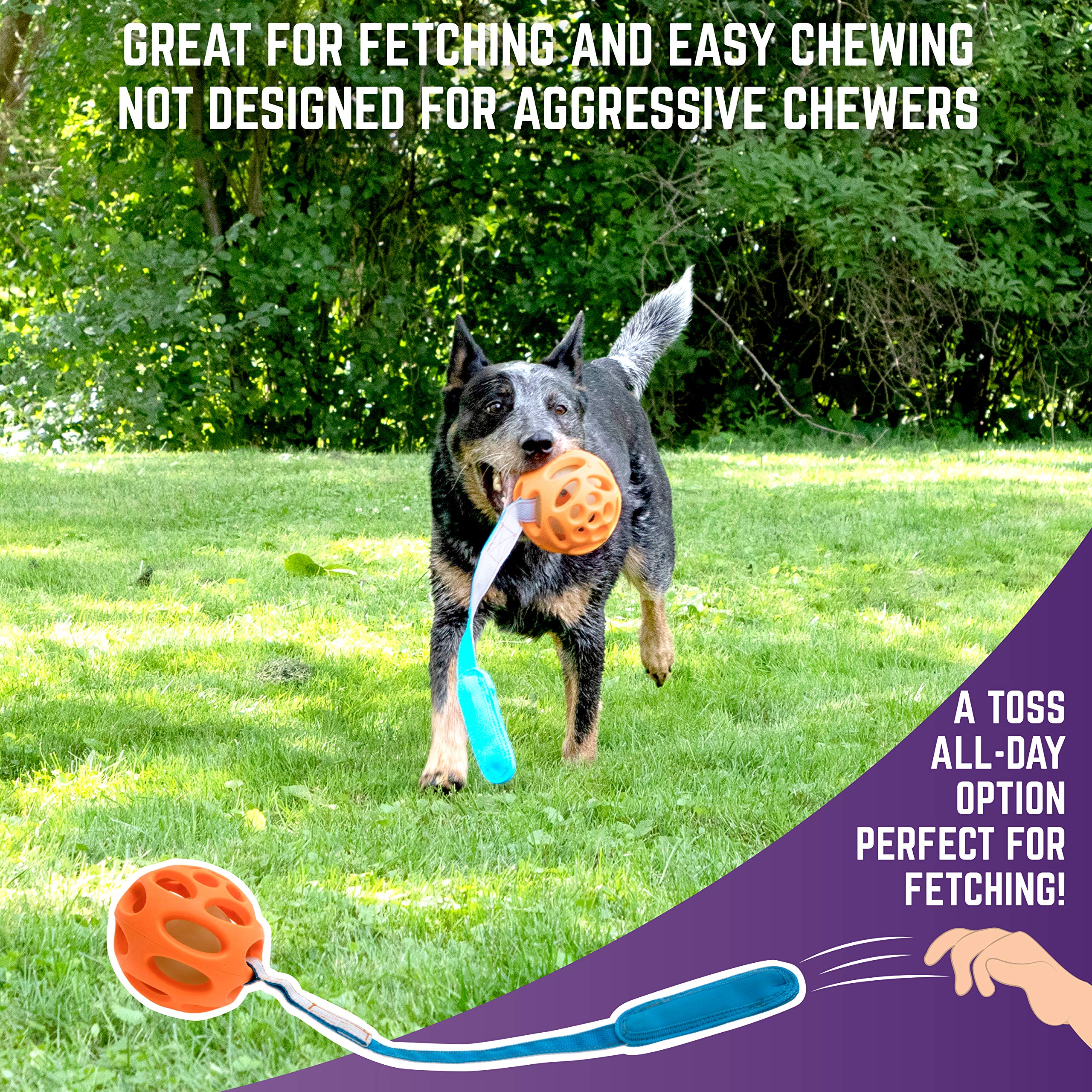 Chew King Ball Launcher - 2.5 Balls, Ball Launcher - 3 Balls, Medley 3pk/2.75, Medley 3pk/3.25, Small Float and Glow Flyer, Larg