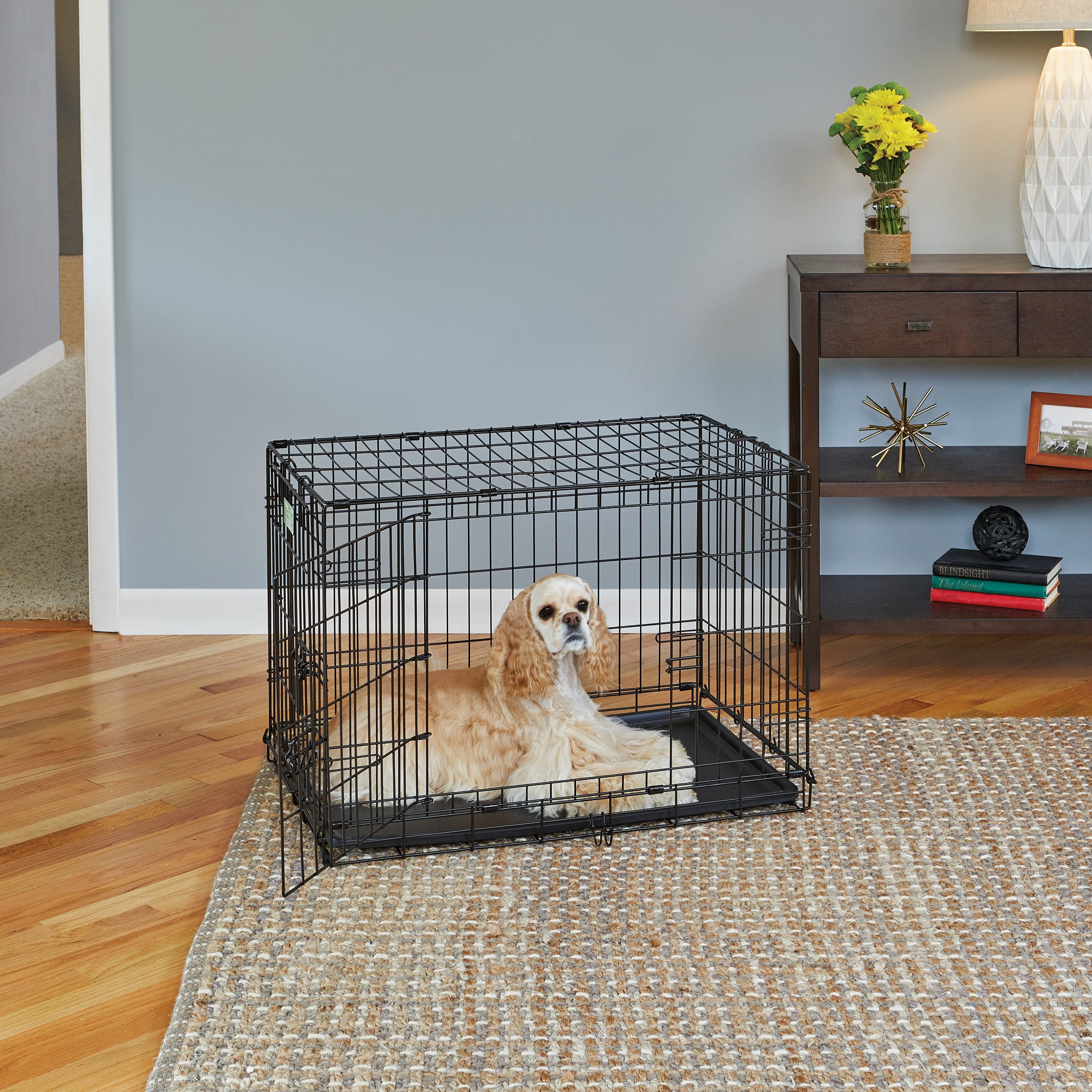 Medium Dog Crate | Midwest Life Stages 30' Double Door Folding Metal Dog Breed Crate | Divider Panel, Floor Protecting Feet & Dog Pan | 30.6L X 19.3W X 21.4H Inches