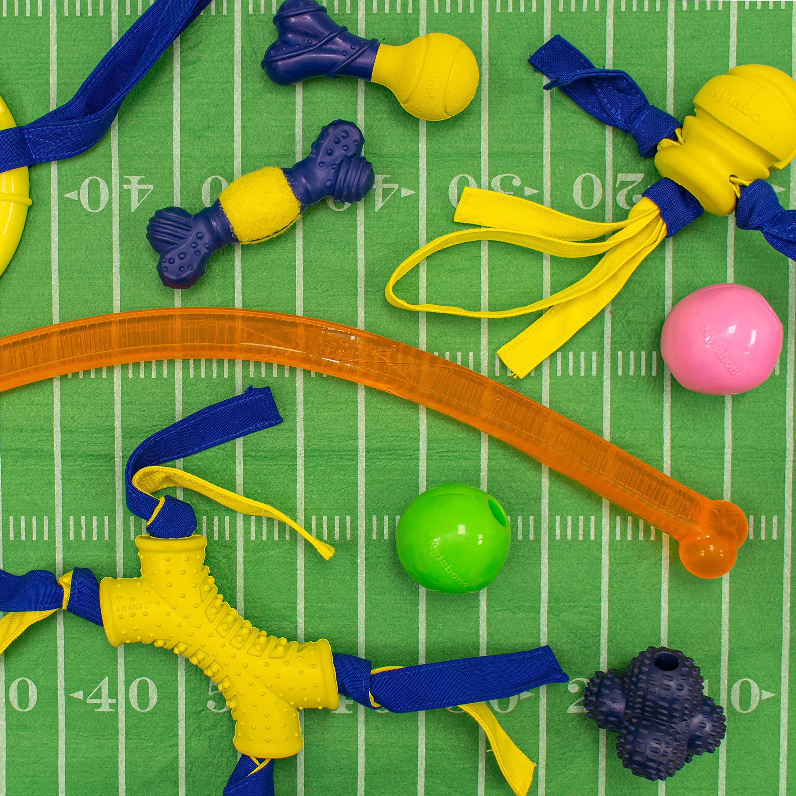 Nylabone Power Play Shake-A-Toss Interactive Play Toy, Fetch Toy For Dogs, Large (1 Count)