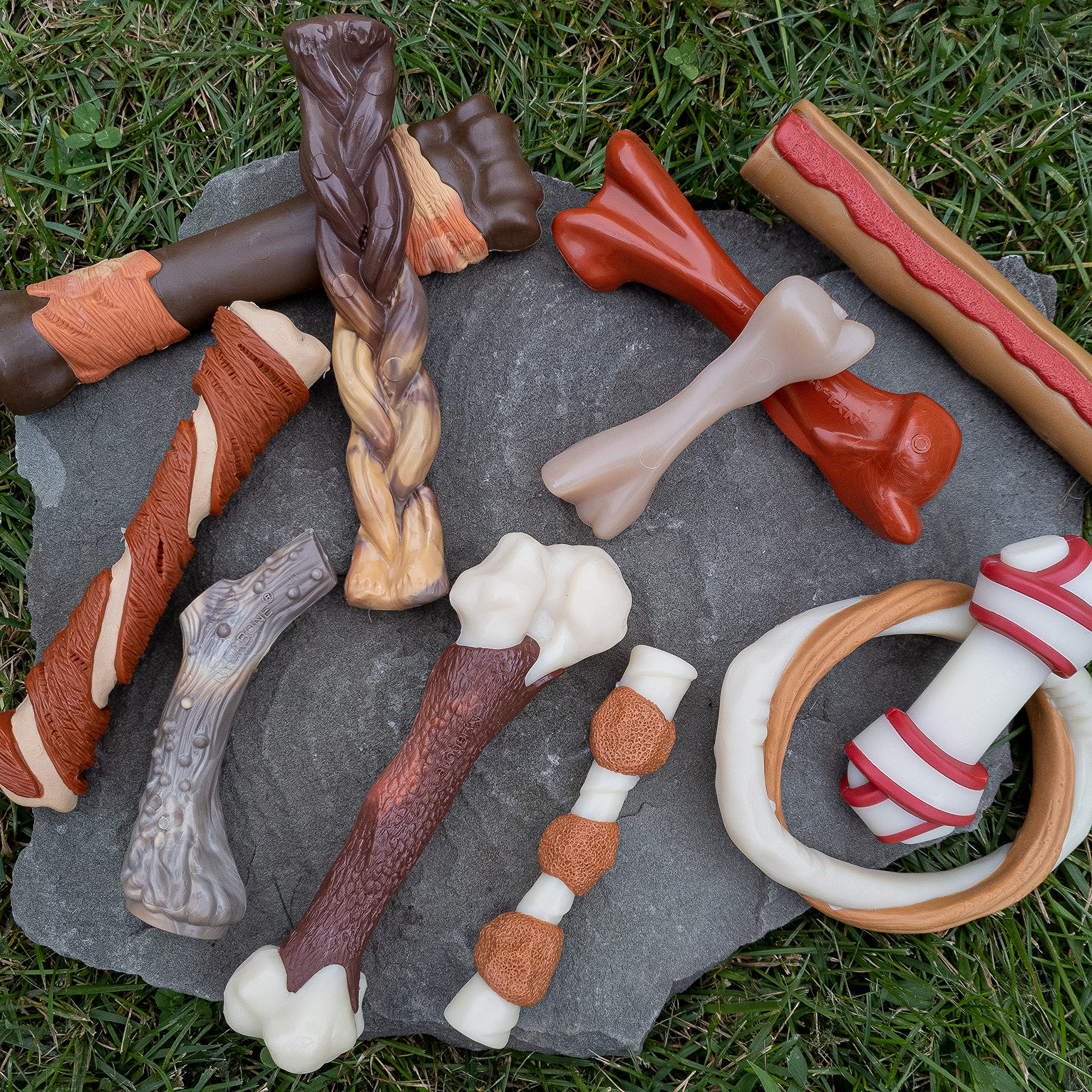 Nylabone Power Chew Bison Bone Alternative Nylon Chew Toy Bison Bison Large/Giant (1 Count)