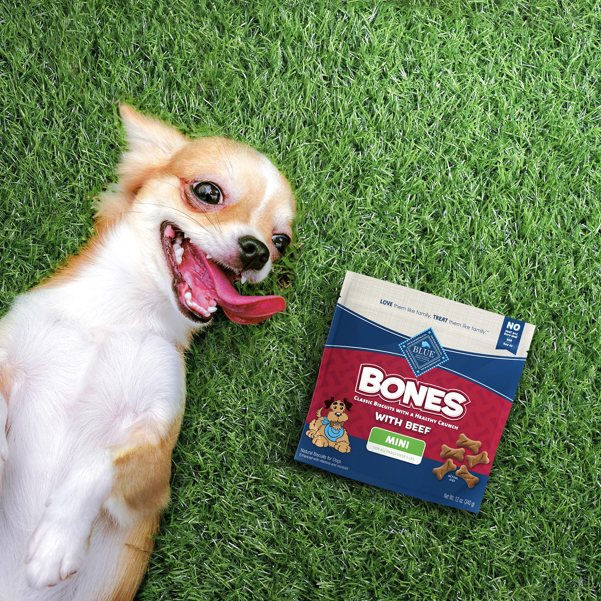 Blue Buffalo Bones Natural Crunchy Dog Treats Mini Dog Biscuits Beef, 12oz. Bag, 4 Count