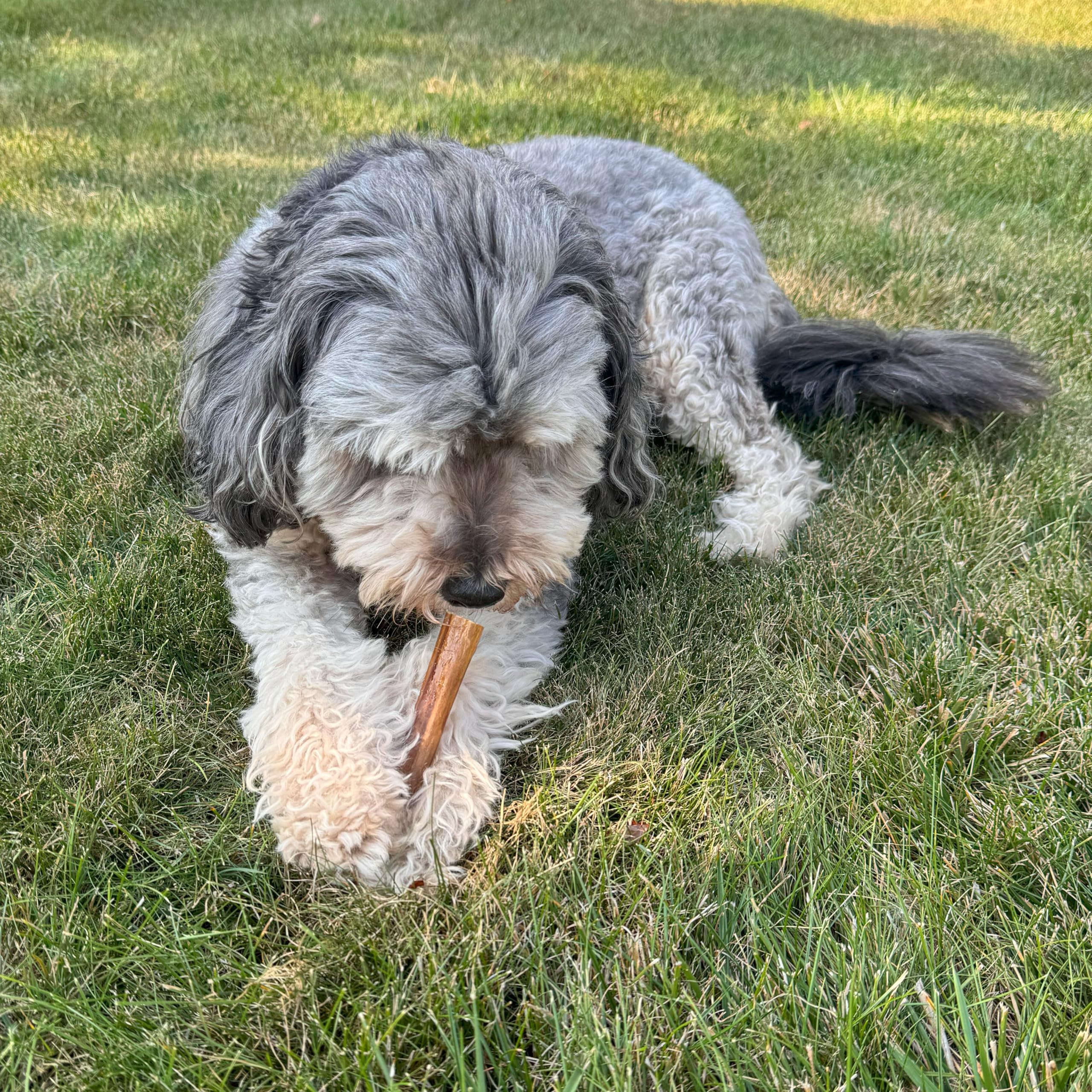 Fieldcrest Farms 6in Bully Crunchers - All-Natural 100% Beef Bully Stick Alternative, Highly Palatable, Easily Digestible, No Ad