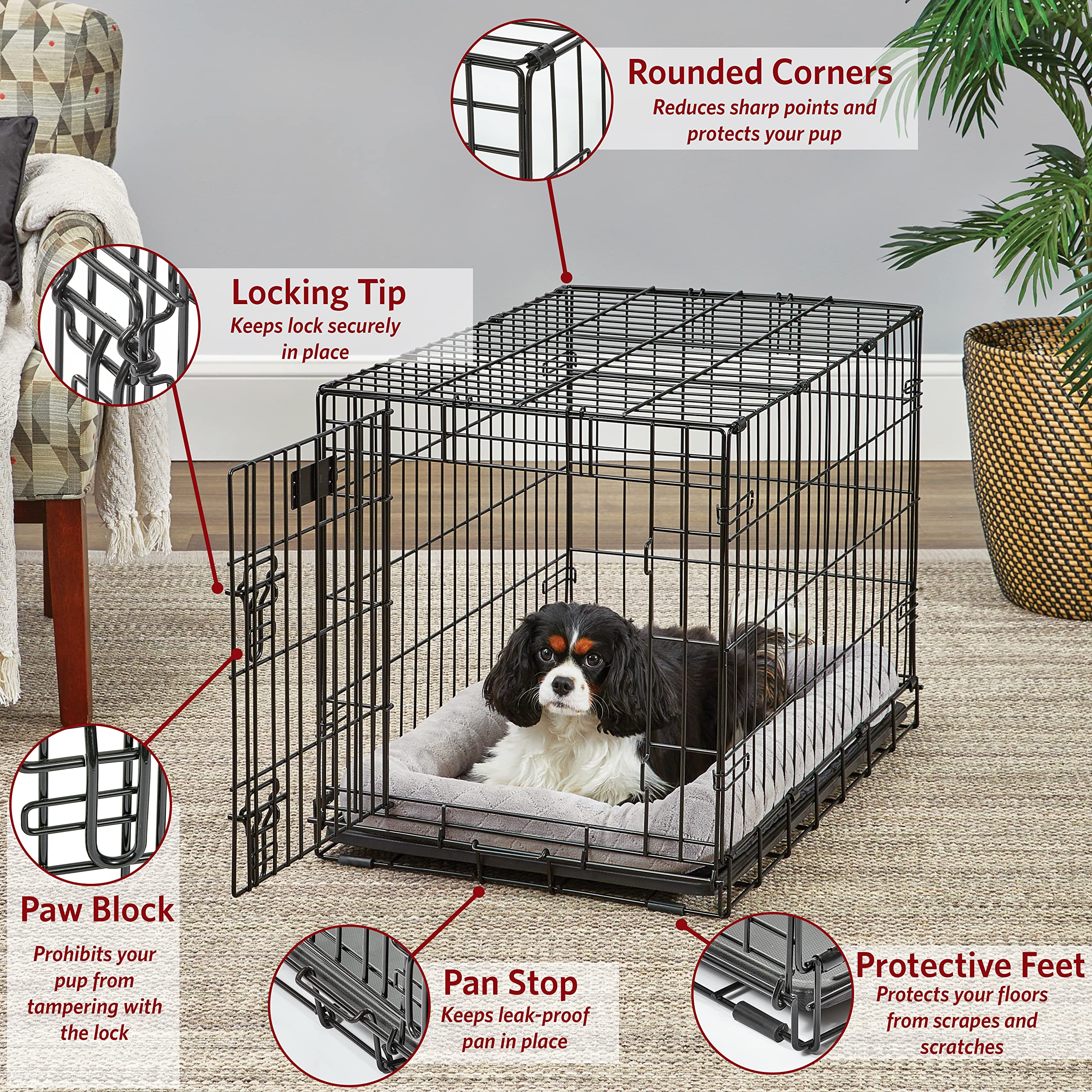 Medium Dog Crate | Midwest Life Stages 30' Double Door Folding Metal Dog Breed Crate | Divider Panel, Floor Protecting Feet & Dog Pan | 30.6L X 19.3W X 21.4H Inches