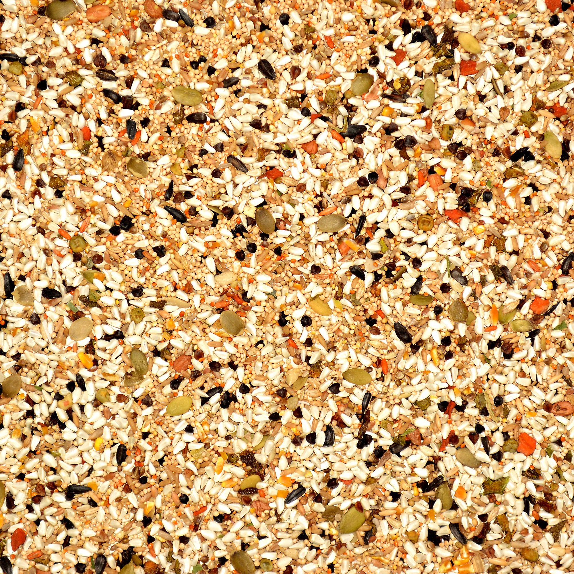 Volkman Avian Science Lovebird & Conure Bird Seed 4 Lb