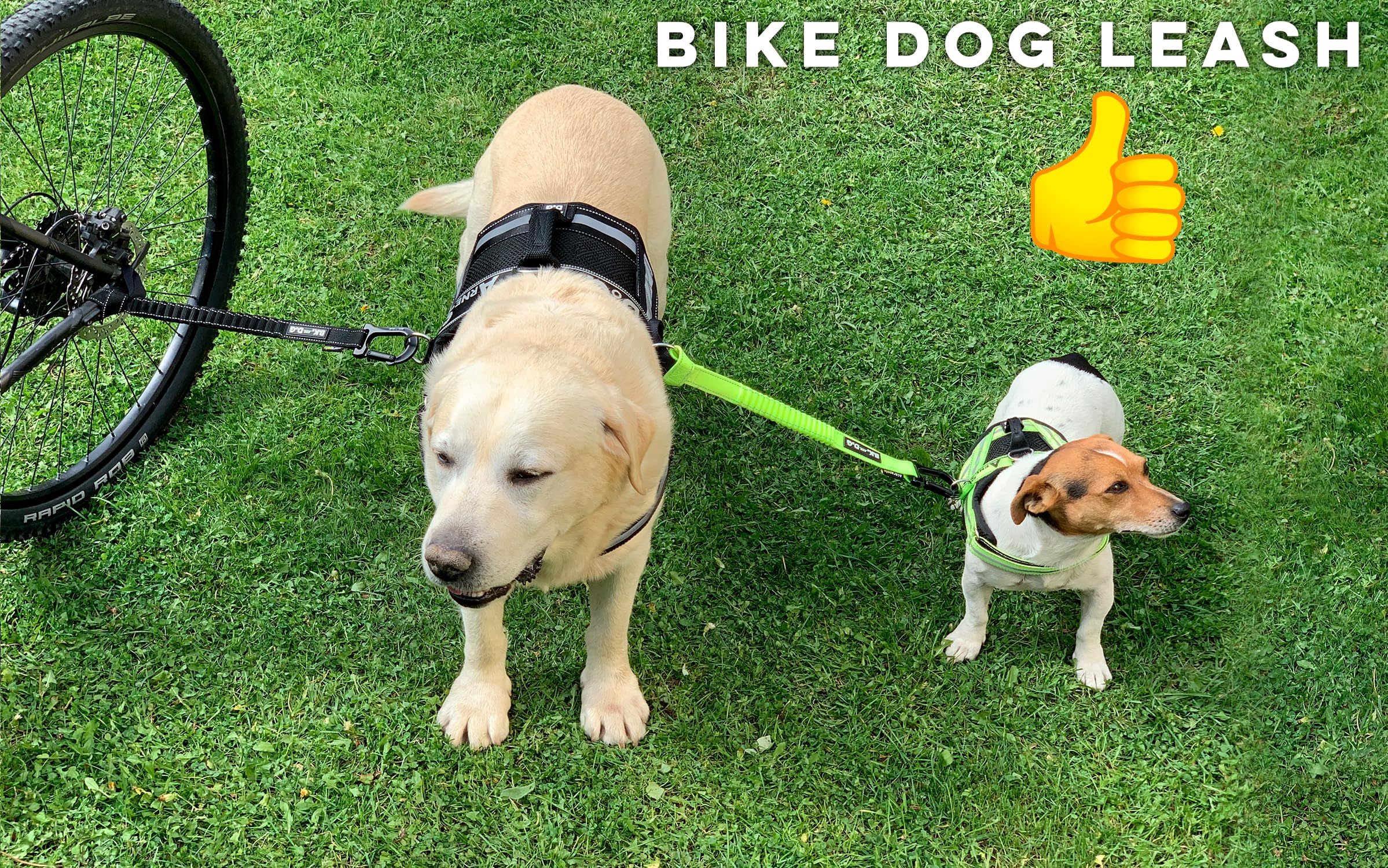 Bike And Dog - Dog Leash And Harness For Bicycle, Harness With 3 Rings, 2 Are Sides, Includes 2 Special Cable Ties For Bicycle.