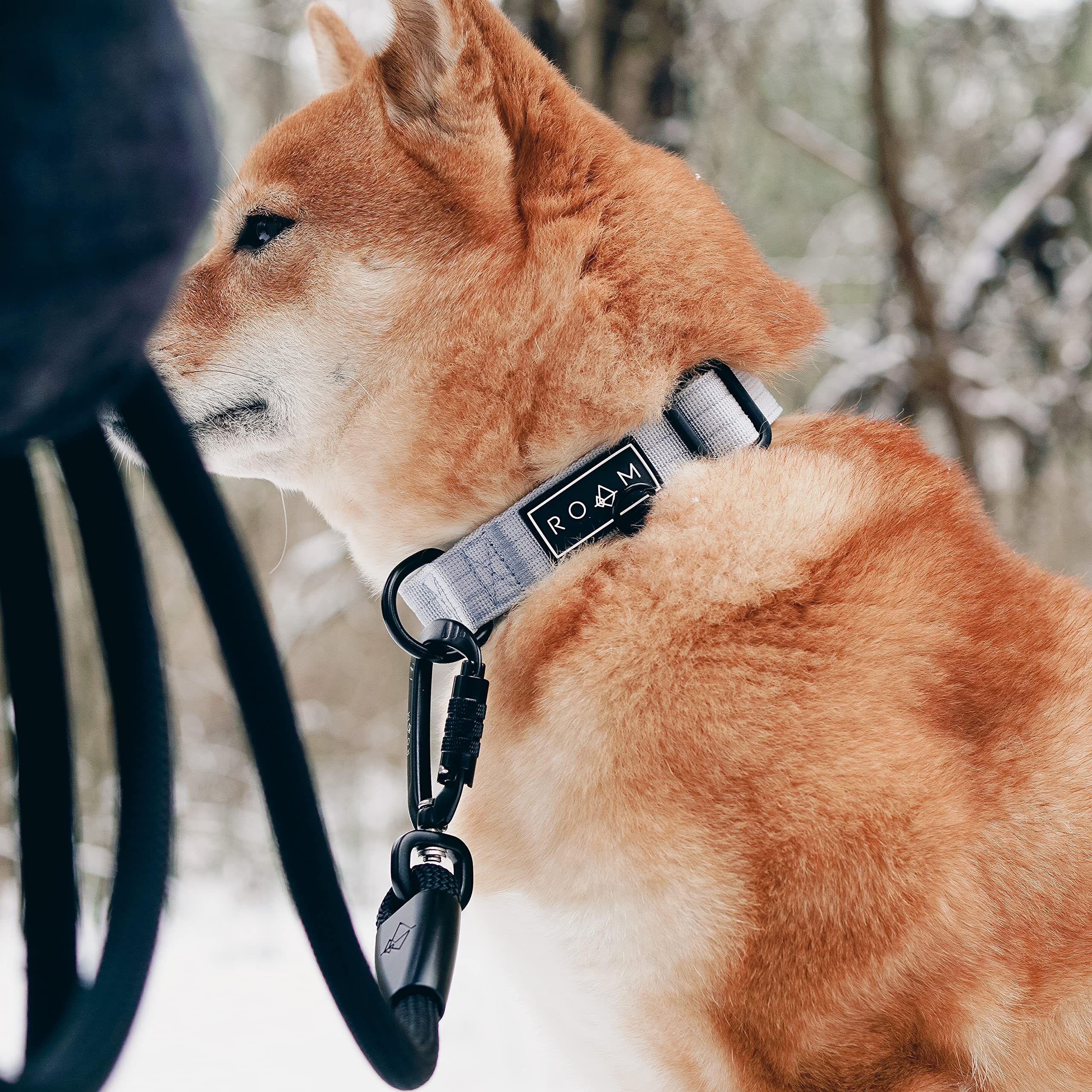 ROAM Premium Dog Collar - Adjustable Heavy Duty Nylon - Size 5 - Eucalyptic Glow