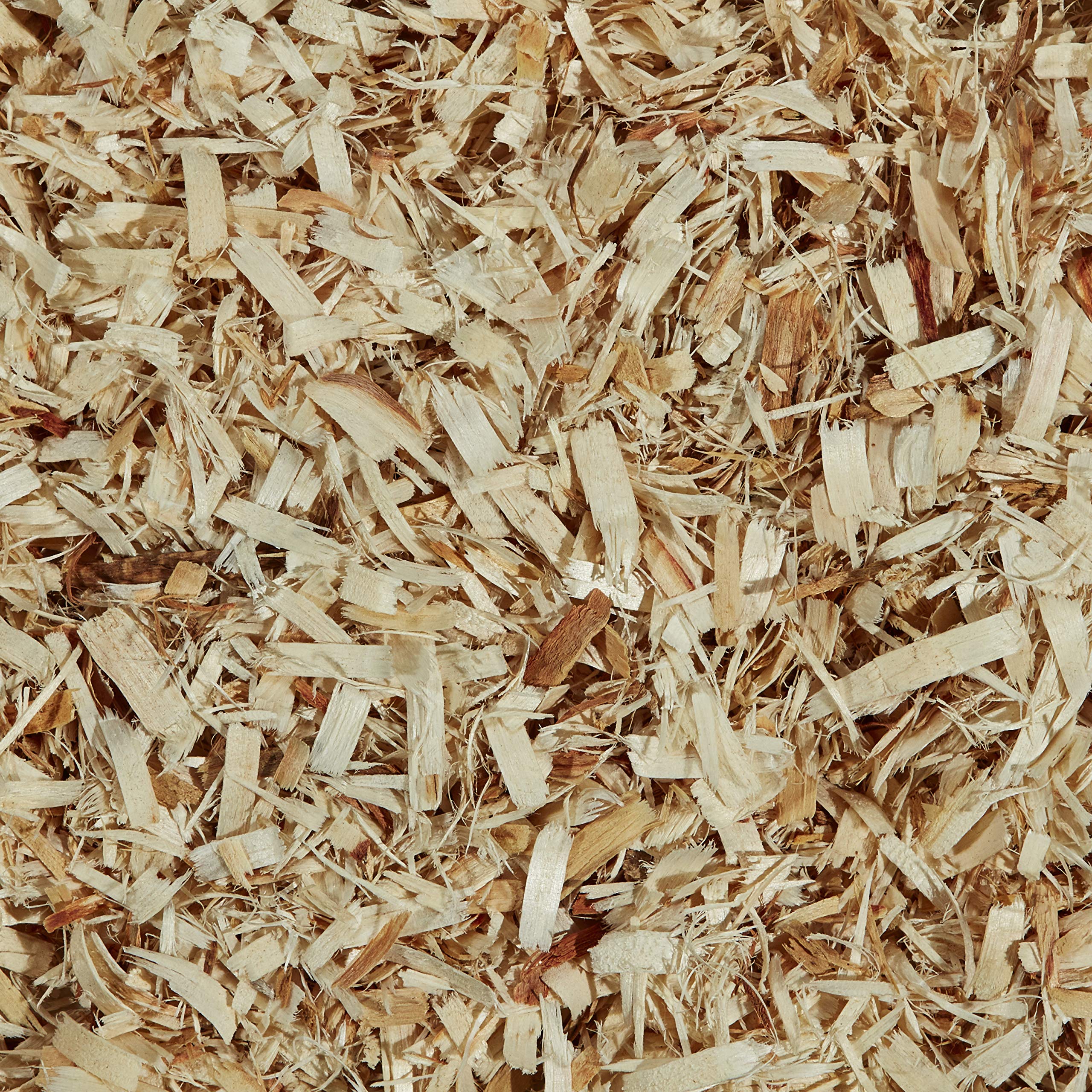ASPEN BEDDING 550CI KT (Pack of 1)